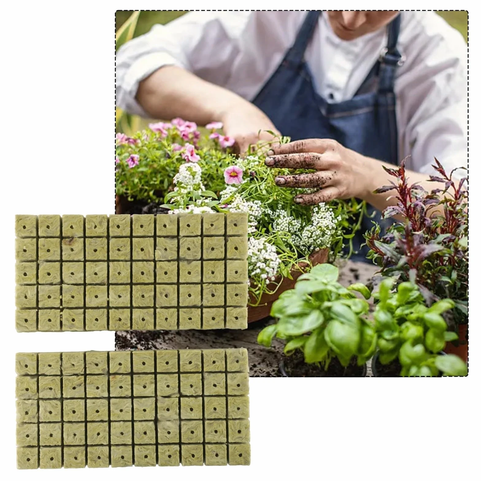 Cubes en laine de roche 25 x 25 x 40 mm, lot de 100 pour culture de plantes
