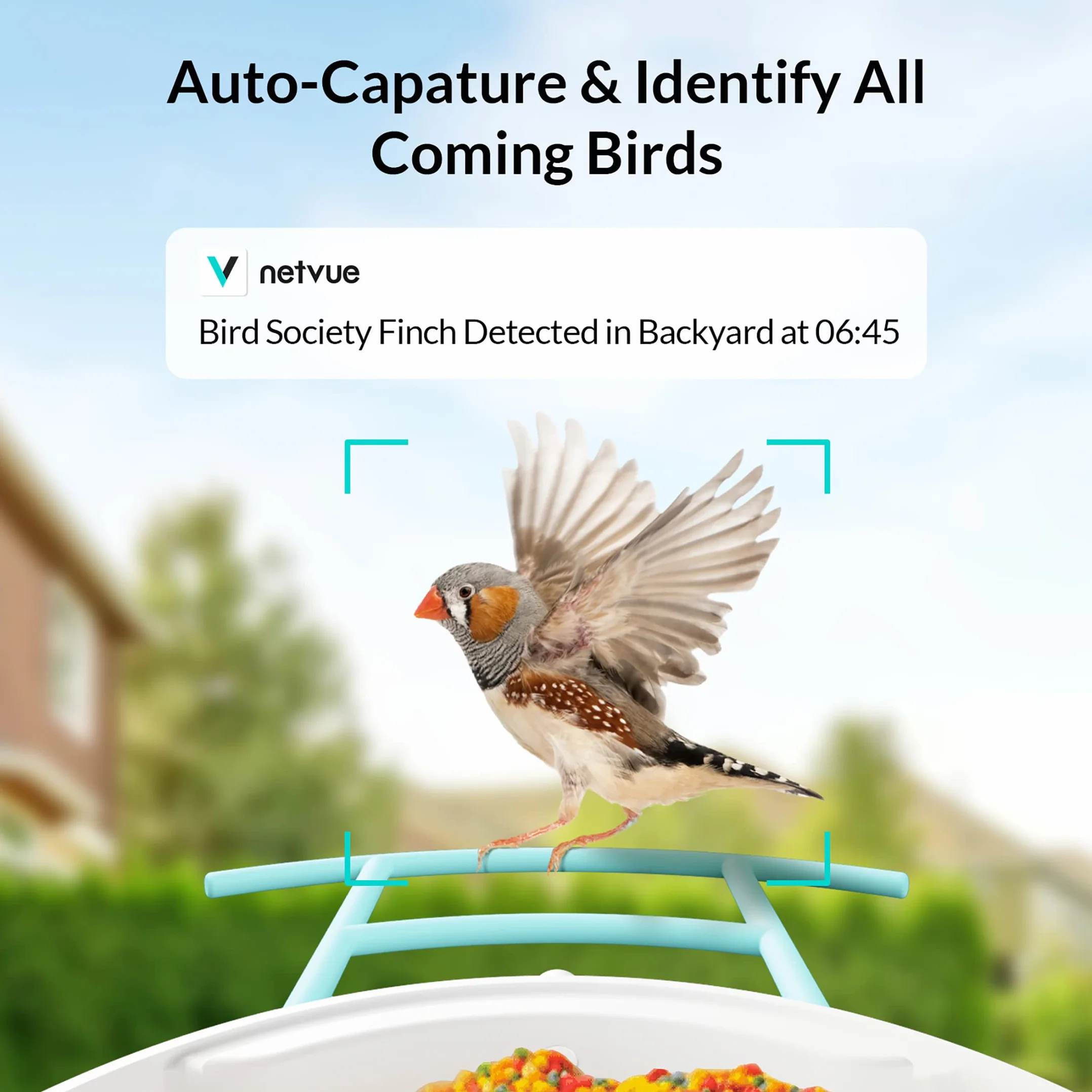 NETVUE Mangeoire Oiseaux avec Camera IA, Observation et Identification des Oiseaux Via APP, Caméra Jardins WiFi à Batterie & Panneau Solaire