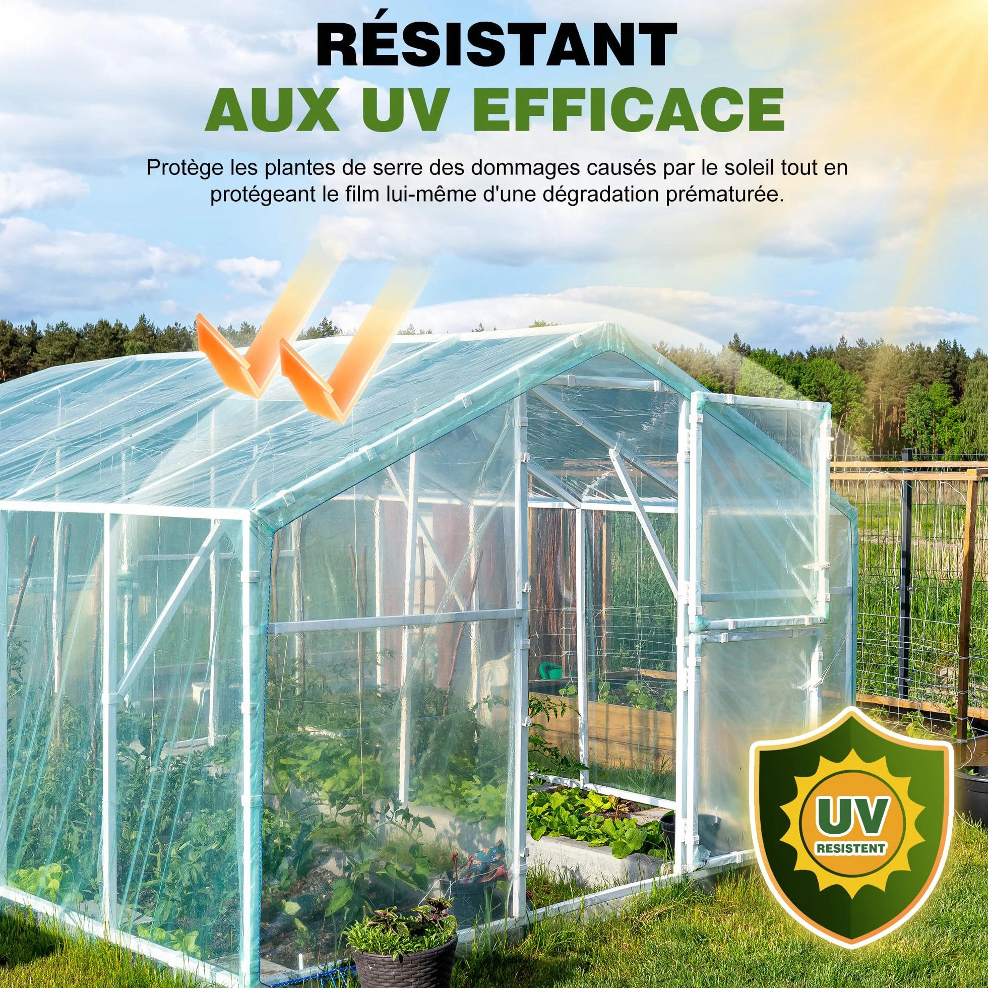 Bâche pour Serre en Polyéthylène Transparent Anti-UV 0,15mm 2Mx10M