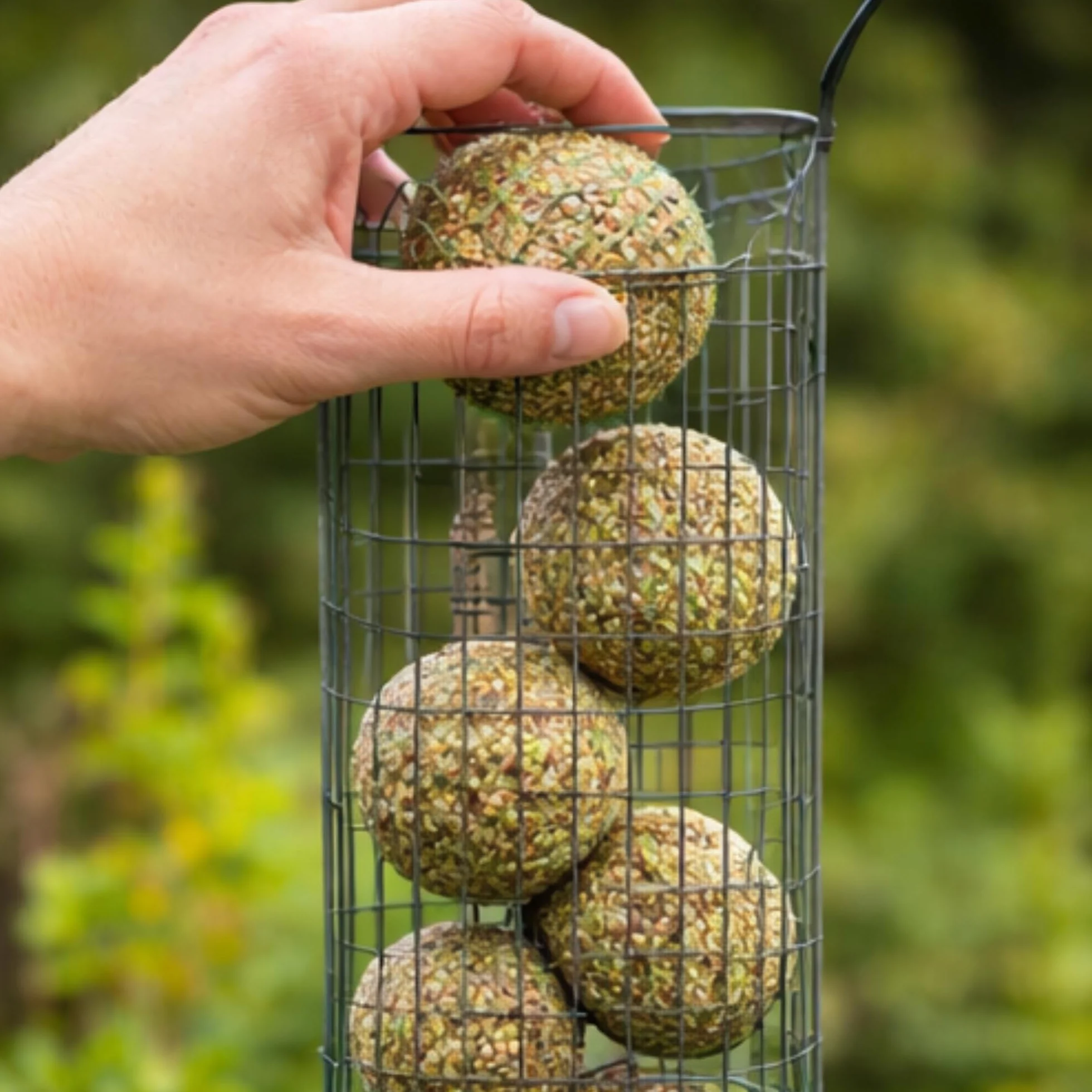 Boules de Graisse en Filet 6 x 80 grs