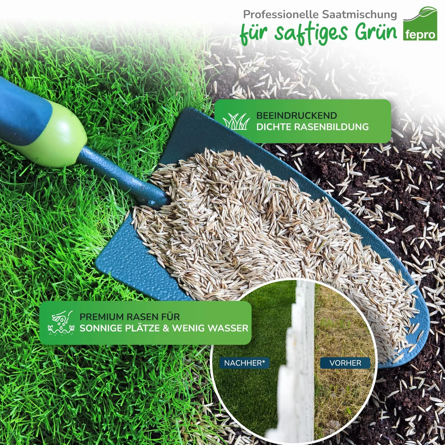 Semences de gazon résistantes à la sécheresse 10 kg 400 m² germination rapide