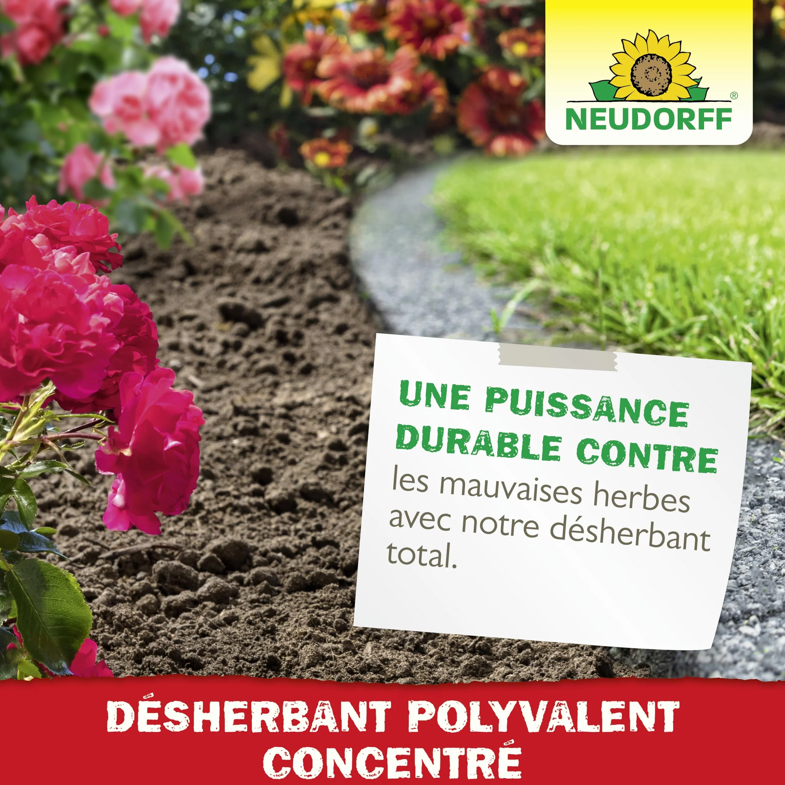 Neudorff Finalsan Désherbant Polyvalent 1 L Concentré Sans Glyphosate 60m²