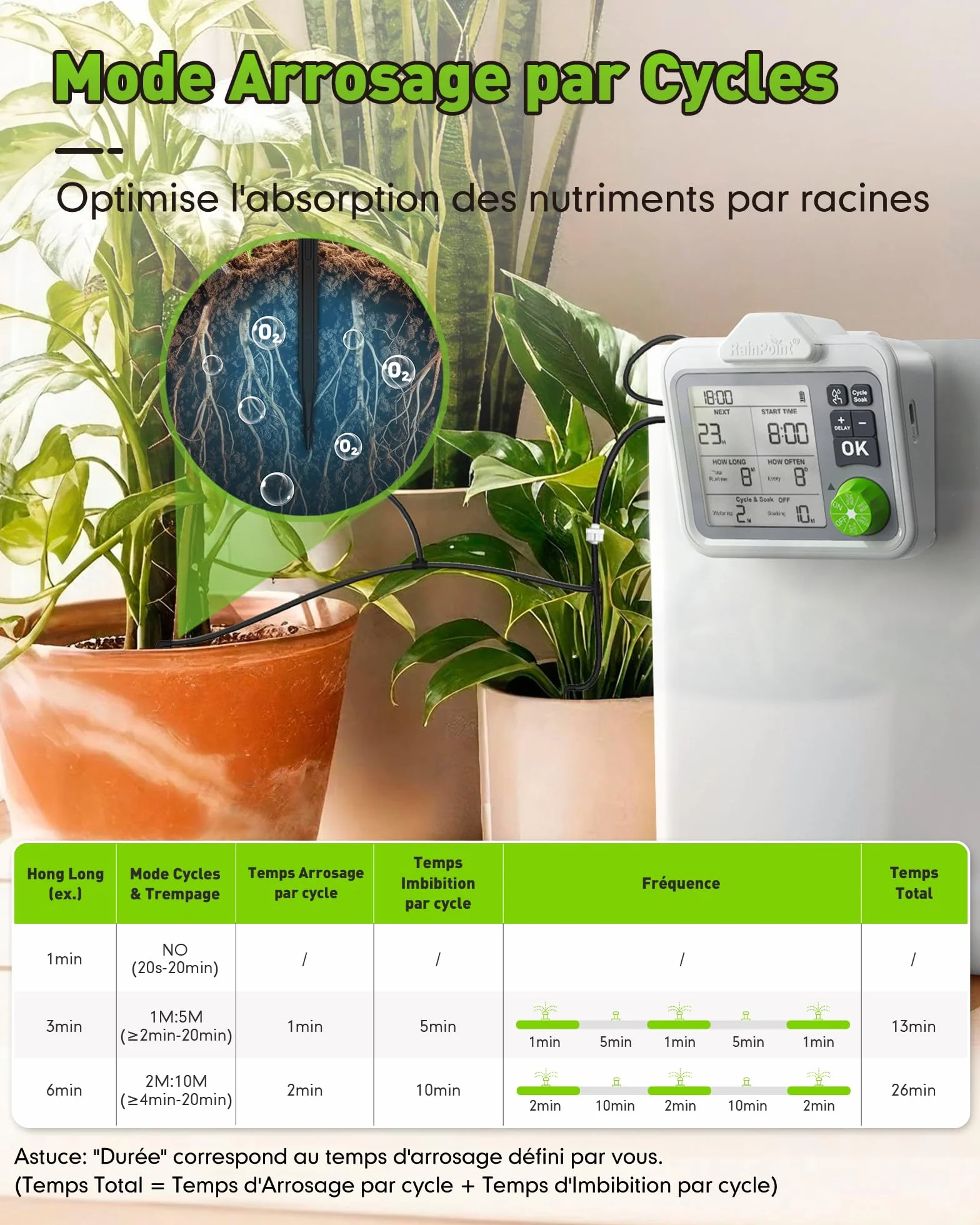 RAINPOINT Système d'irrigation automatique goutte à goutte rechargeable pour 20 plantes d'intérieur