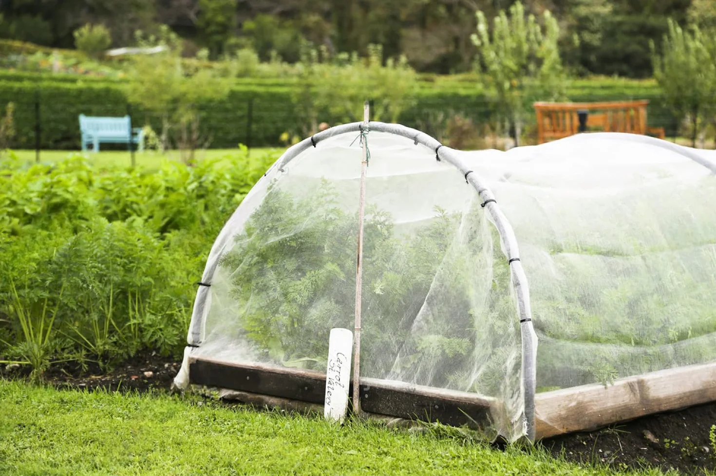 Filet Anti Insecte 3m x 10m Maille Fine Protection Plantes Jardin Potager