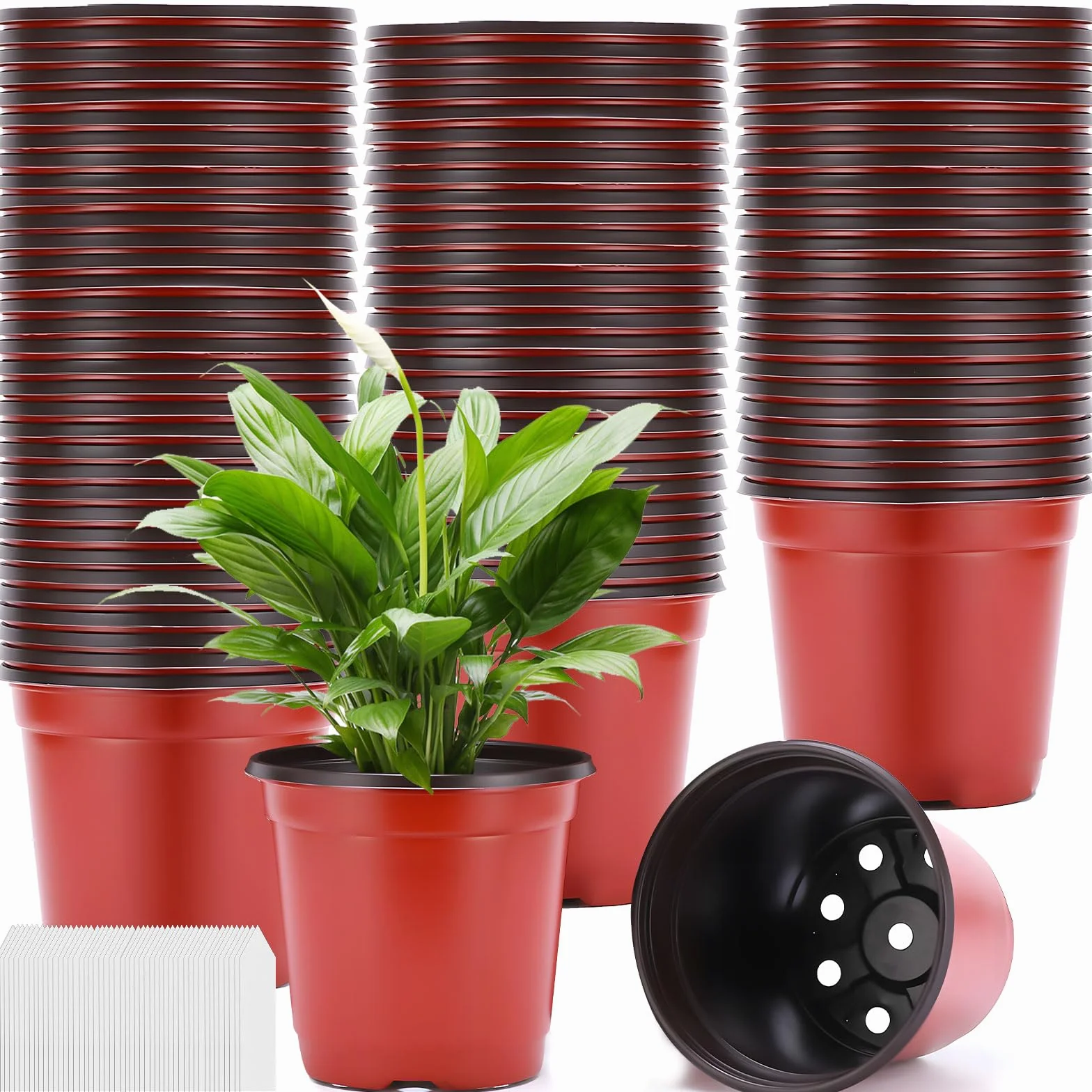 Purpledi 100 Pcs 10CM Pots de Fleurs en Plastique avec Étiquettes, Gobelets de Semis, Godets de Repiquage