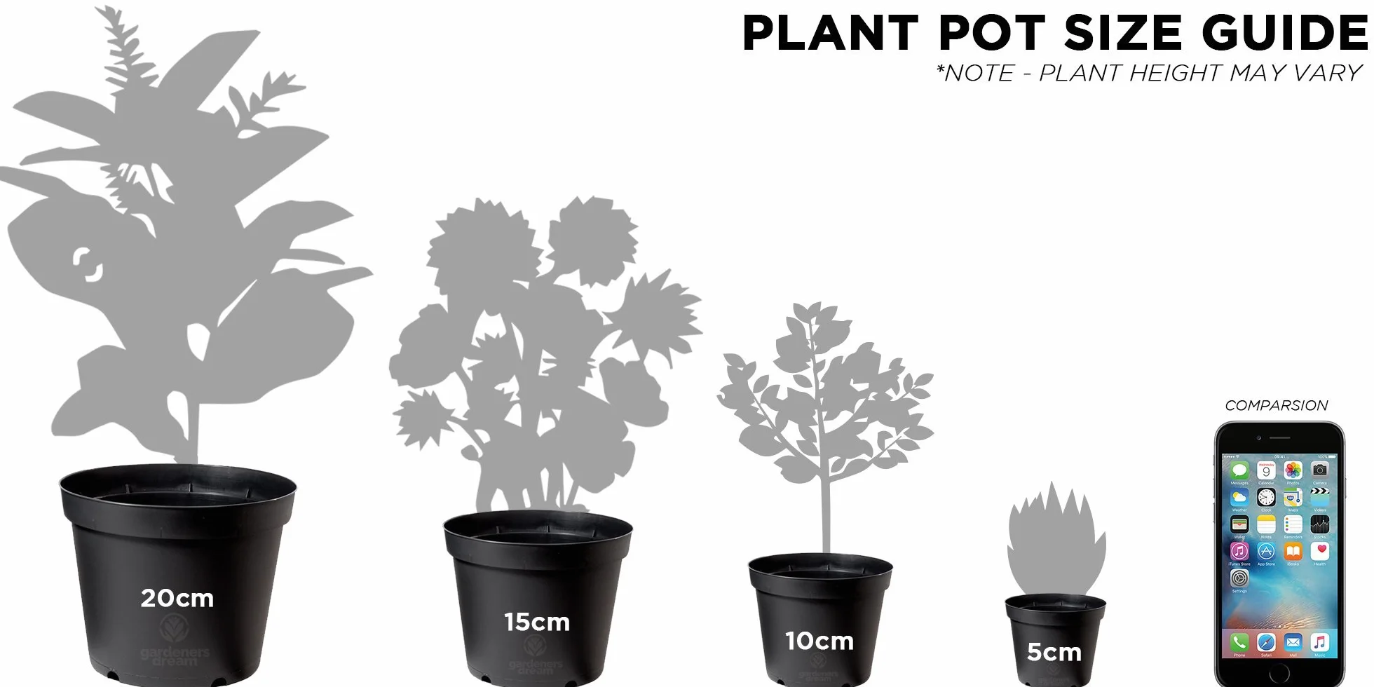 Collection Cactus Mixtes Vert - 10 Sortes Différentes