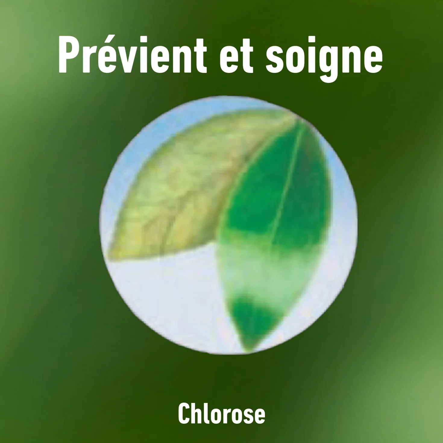 Algoflash NATURASOL Anti-Chlorose Reverdissant Toutes Plantes 100 g
