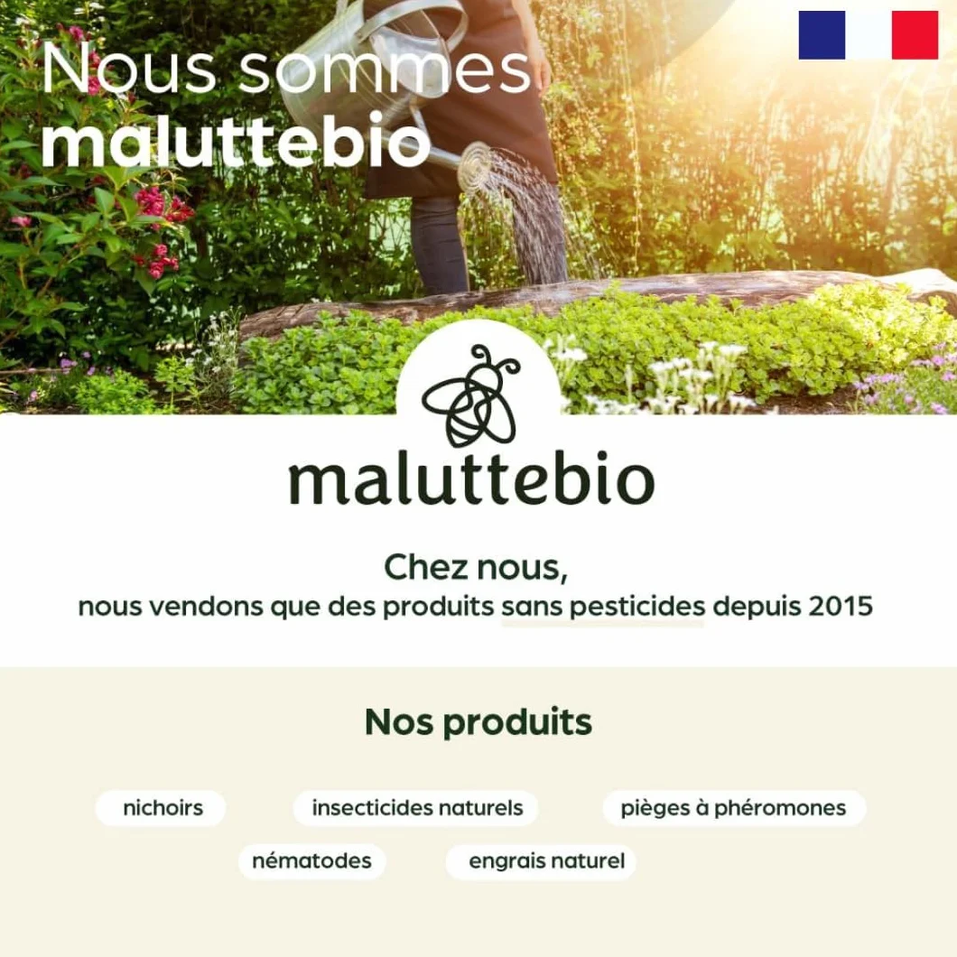 Nématodes Papillon du palmier et Charançon Rouge - Traitement 6-12 palmiers (100M)