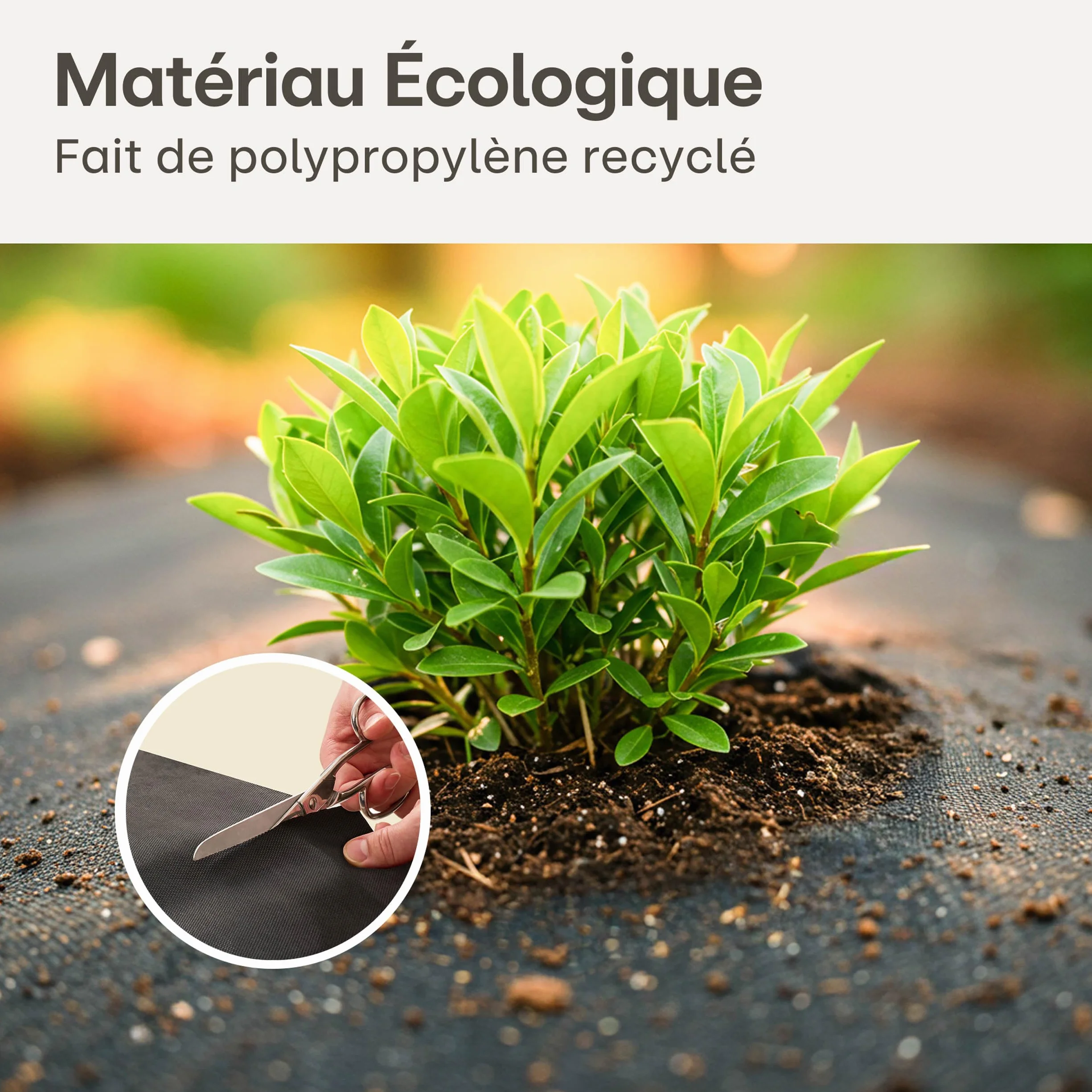 Praknu Toile de Paillage 150g/m² Anti-Mauvaises Herbes 25m² avec 12 Piquets