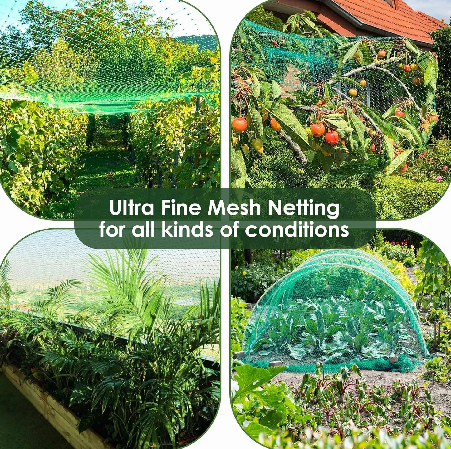 Filet Anti Oiseaux 4x15m Jardin Protection Maille 1.5x1.5cm