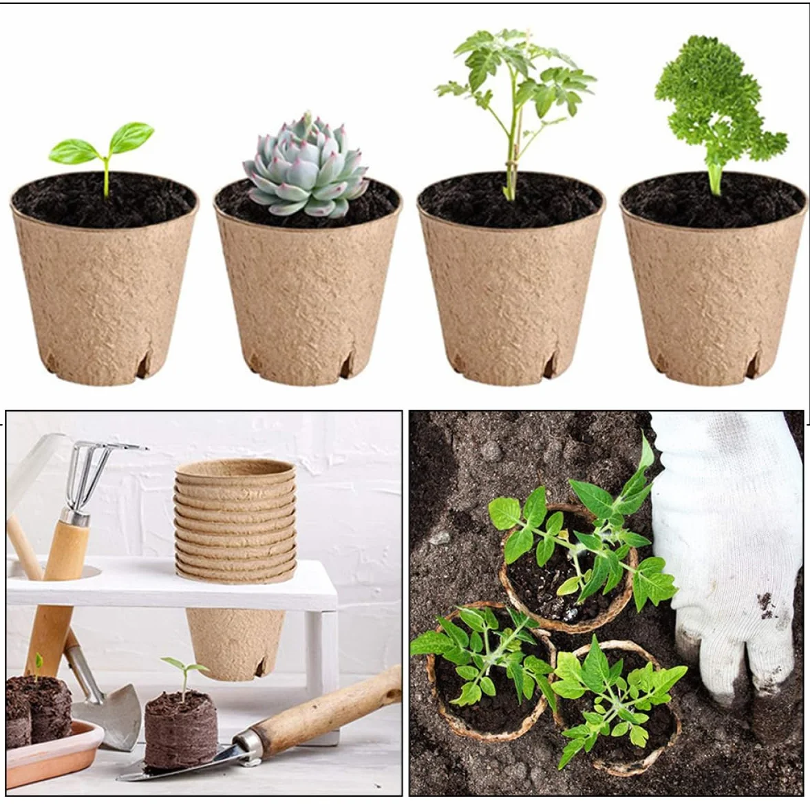 BESPORTBLE 20 pièces Pots De Germination pour Plantes Godets De Jardinage avec Drainage