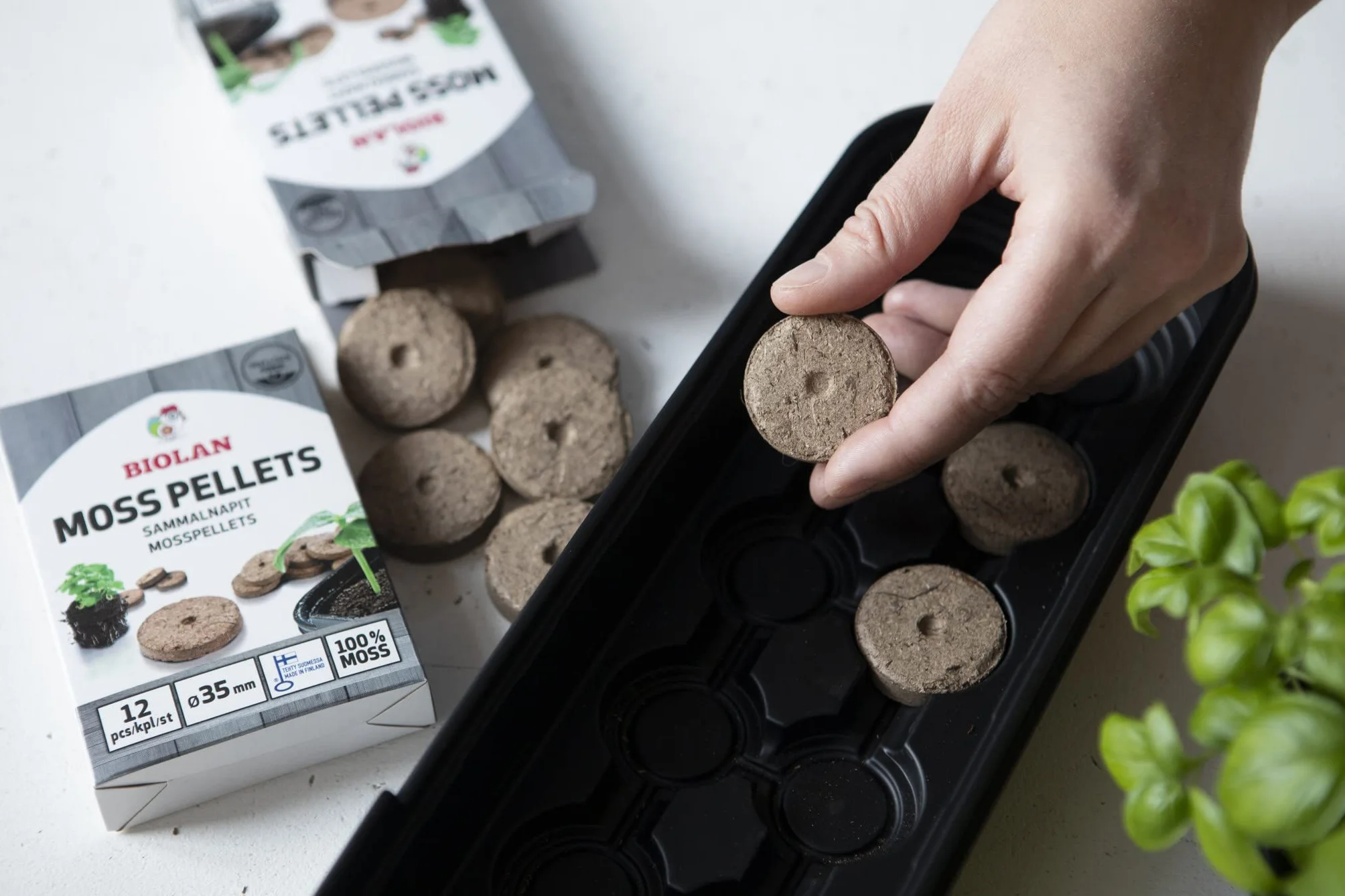 Biolan Granulés de mousse pour semences, 48 pièces