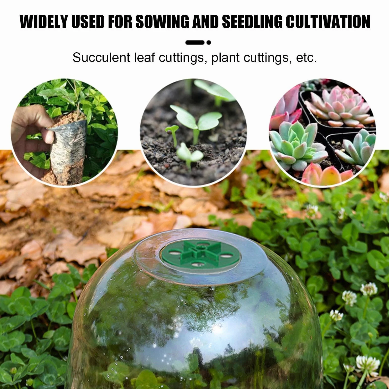 Lot de 10 Dômes de Serre de Jardin Transparents Réglables pour Propagation