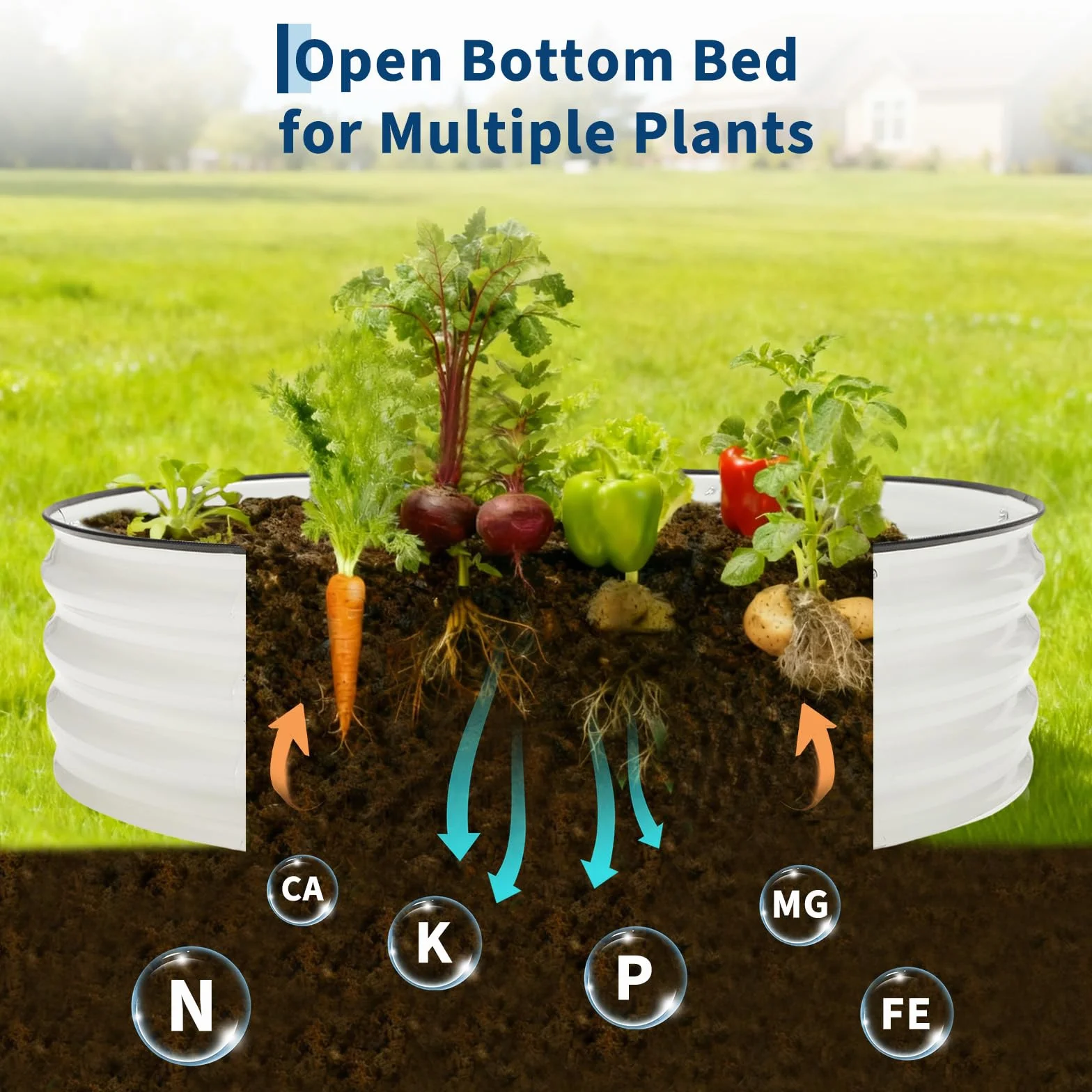 Jardinière surélevée Ovale Acier galvanisé 4x2x1 pi Base Ouverte Résistant à la Corrosion Blanc