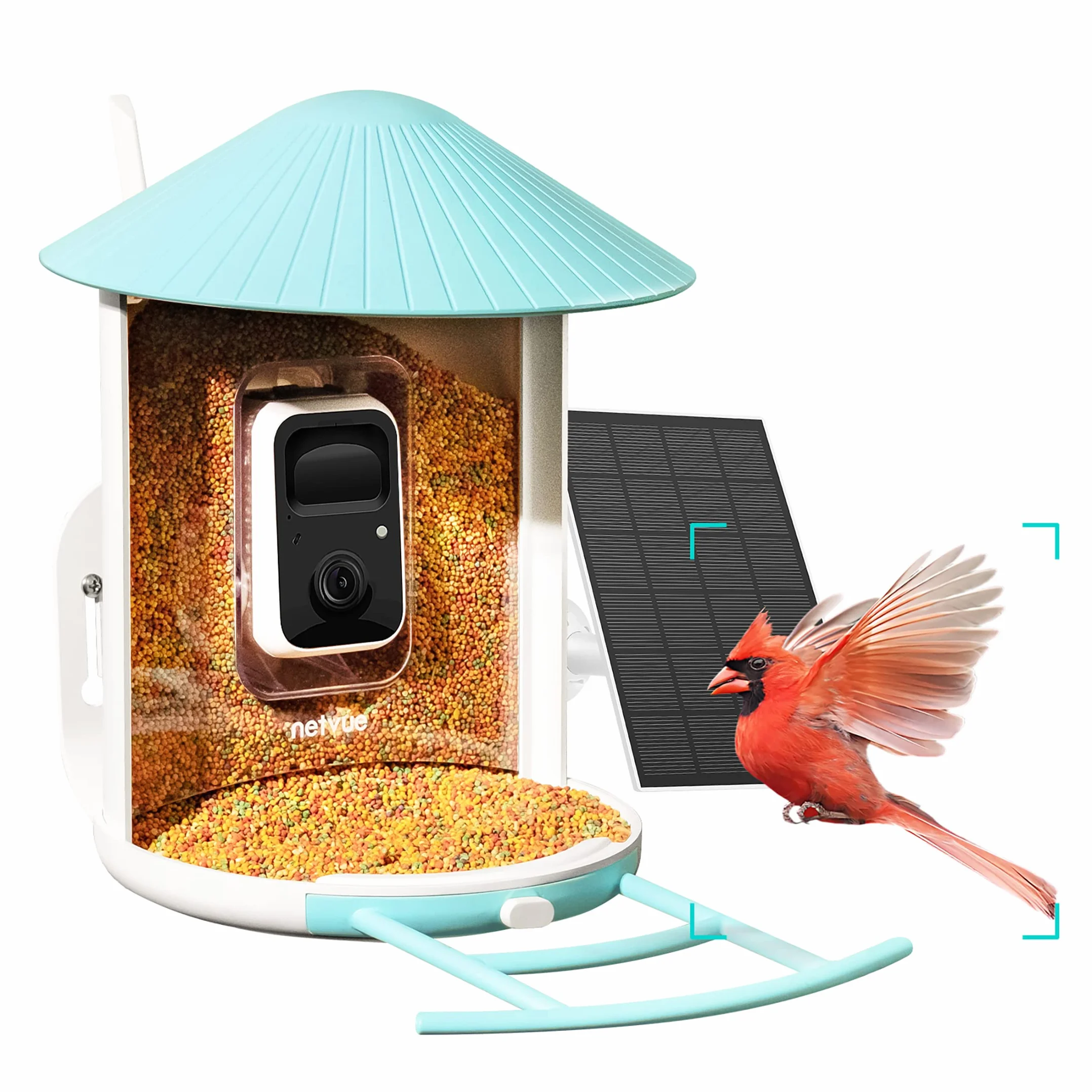 NETVUE Mangeoire Oiseaux avec Camera IA, Observation et Identification des Oiseaux Via APP, Caméra Jardins WiFi à Batterie & Panneau Solaire