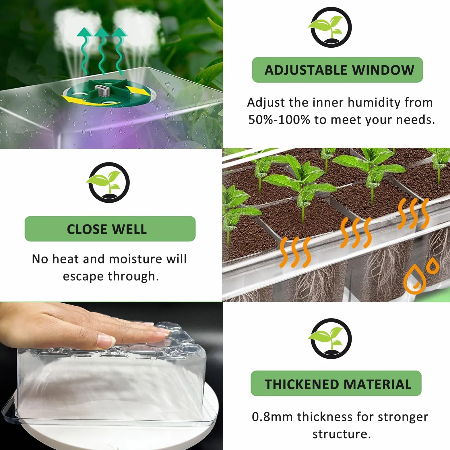 Mini serre avec lumière complète pour plantes, kit de culture d'intérieur