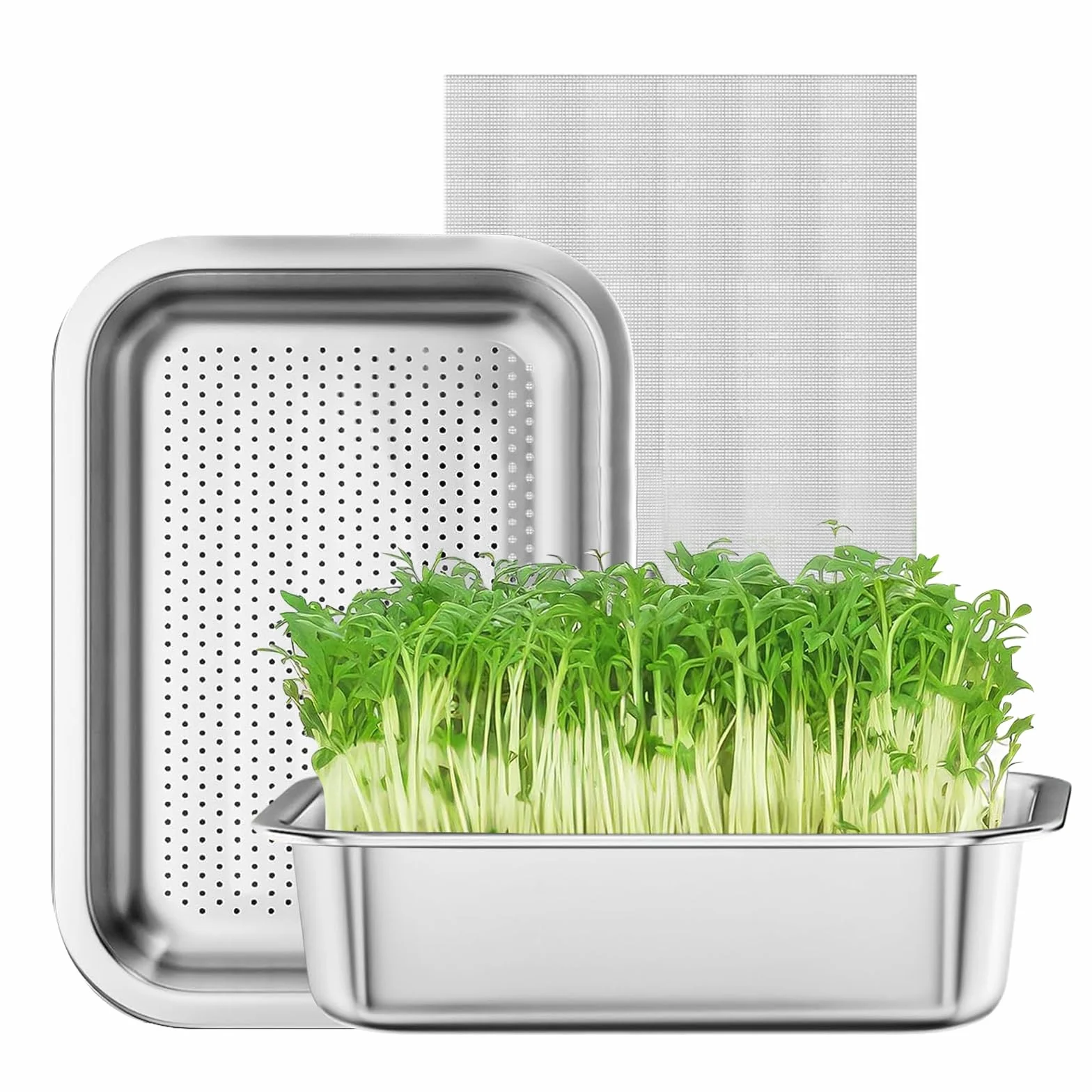Germoir pour Graines à Germer Acier Inoxydable 26 x 19 cm Réutilisable Kit Germination Professionnel