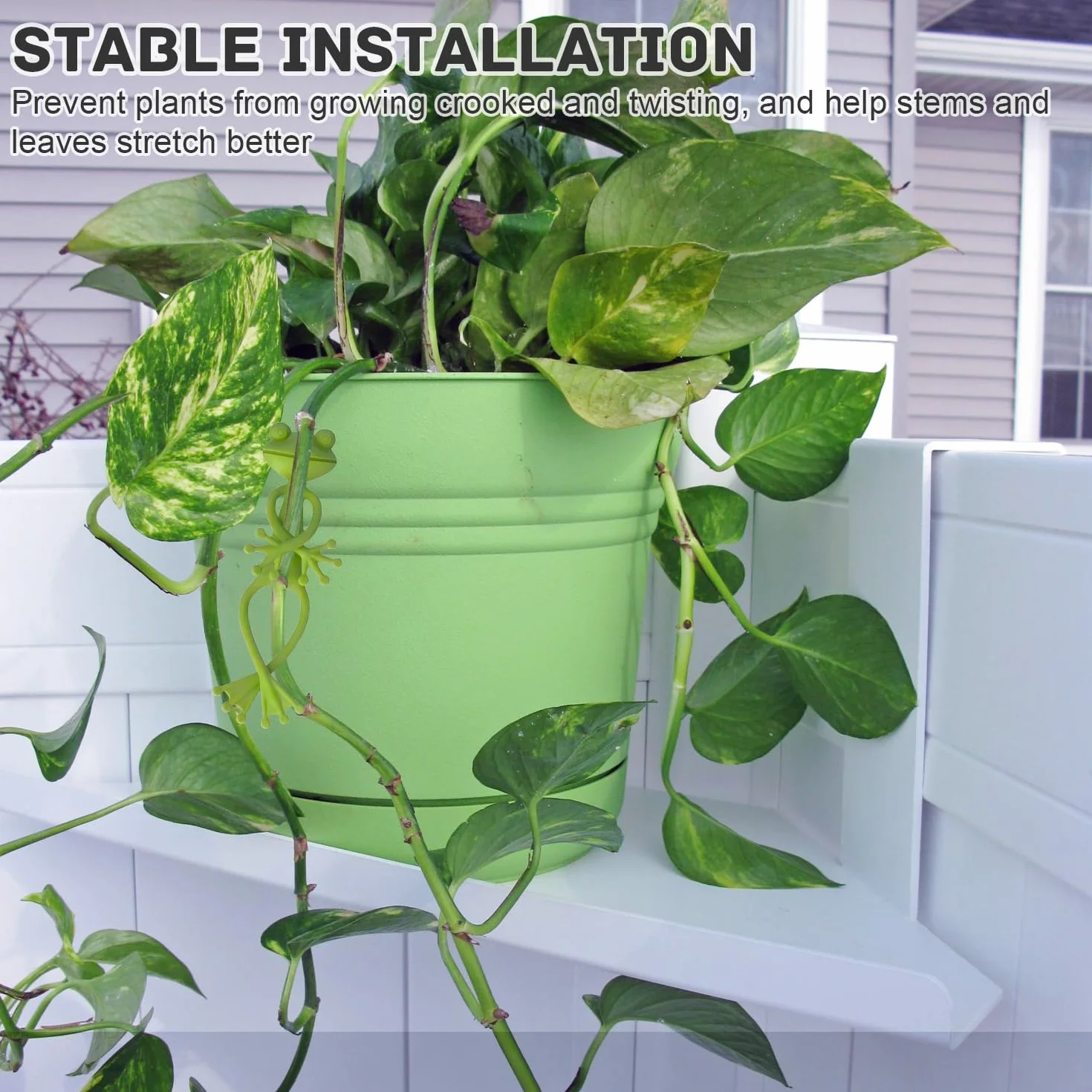 Support de Plantes Grenouille 5 Pièces Vert pour Jardin et Plantes en Pot