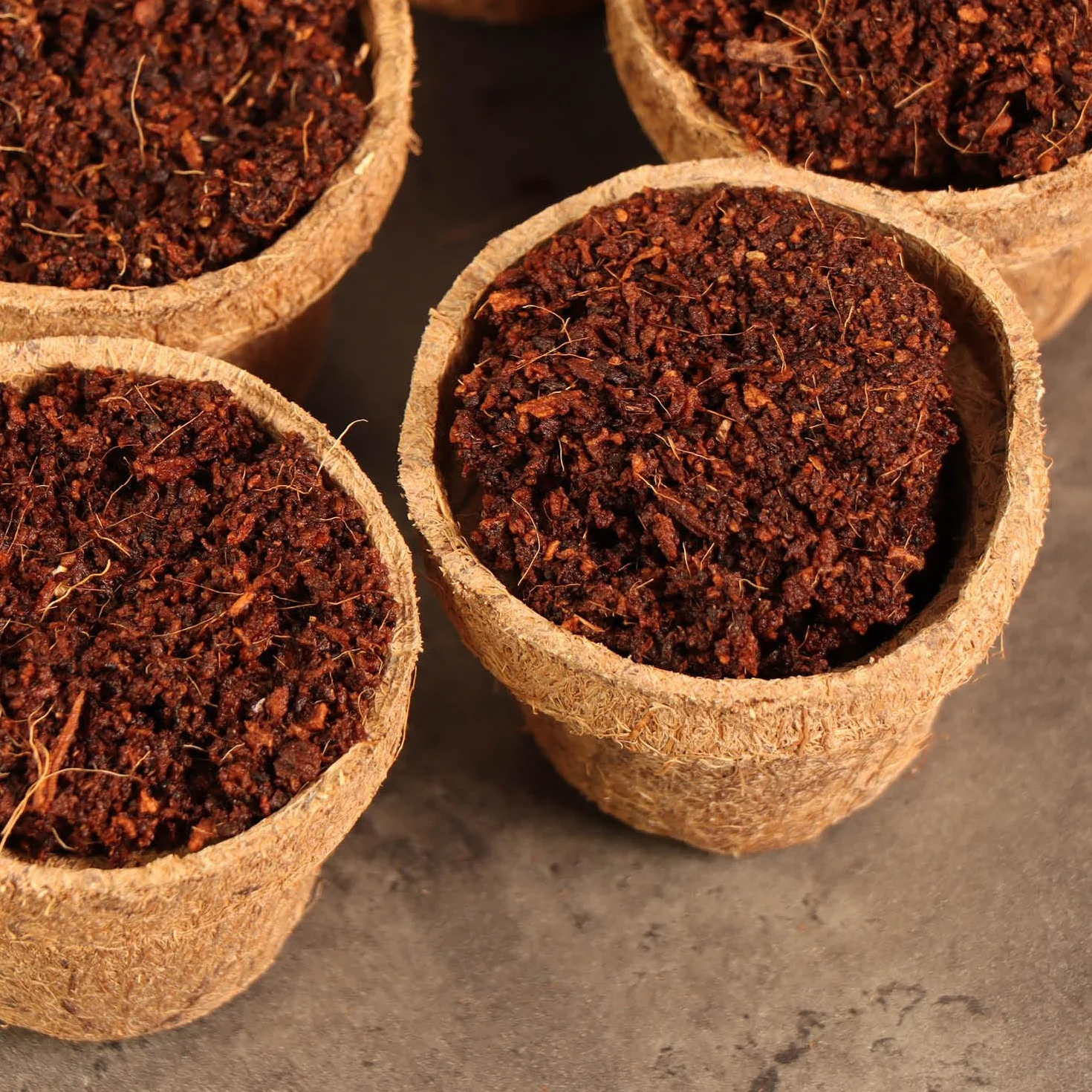 Kit de Culture de Noix de Coco 20 pièces - Disques de Noix de Coco Biodégradables avec Pot et Languettes Gonflantes