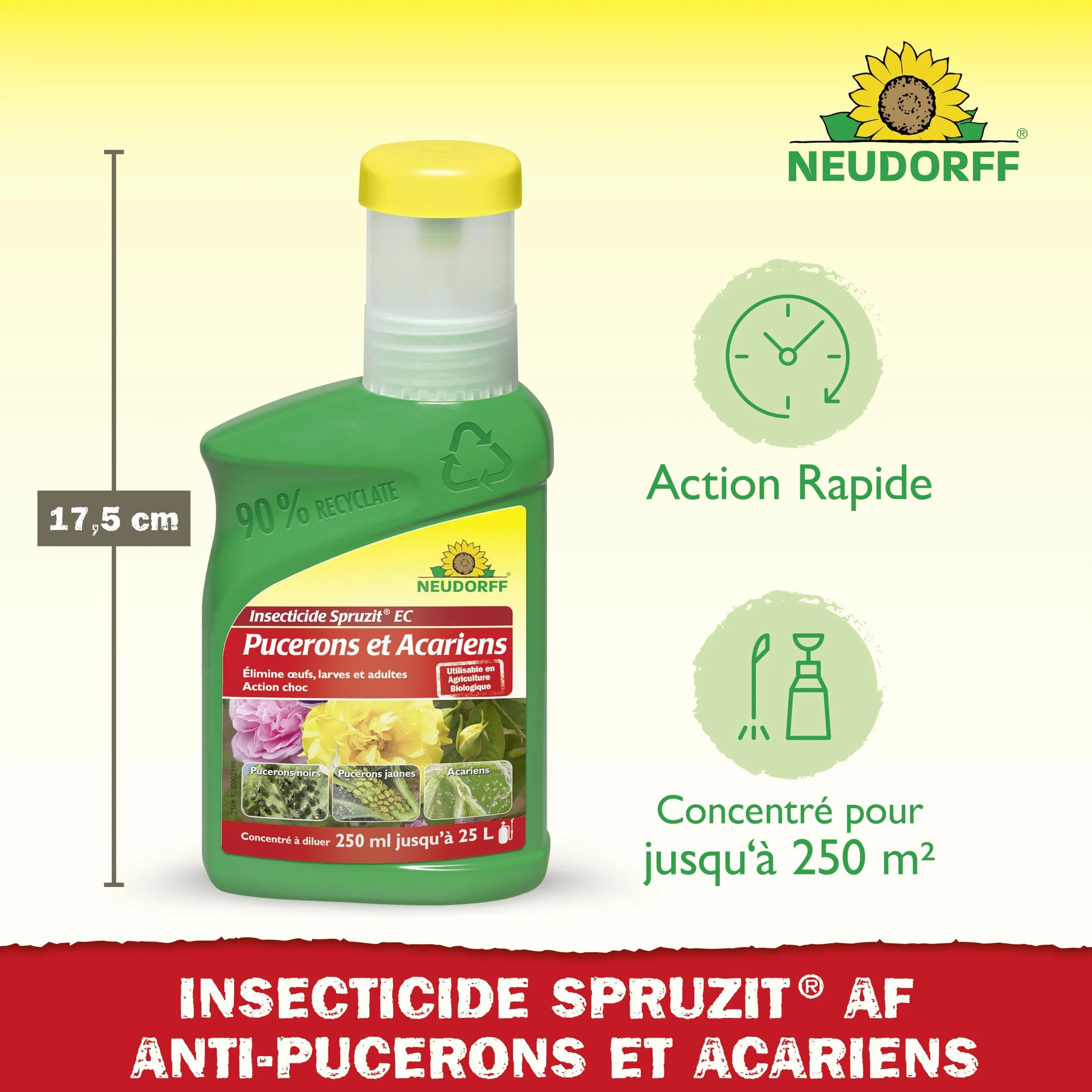 Neudorff Spruzit EC Insecticide Anti-Pucerons et Acariens Concentré 250 ml