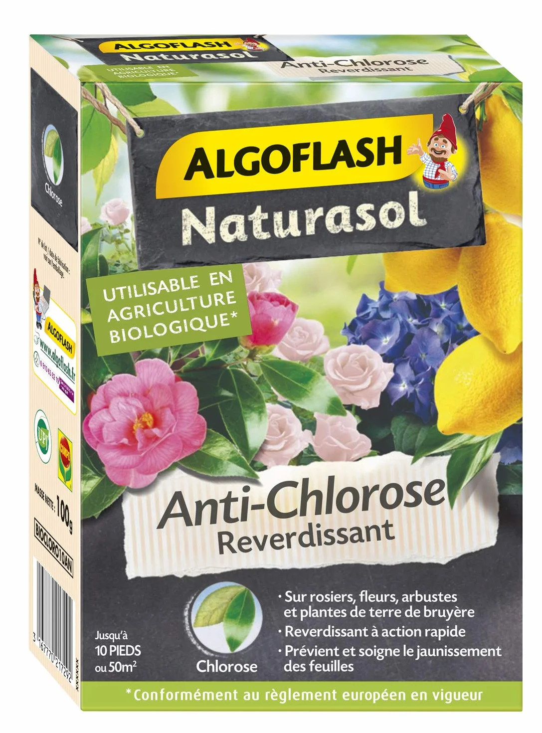 Algoflash NATURASOL Anti-Chlorose Reverdissant Toutes Plantes 100 g