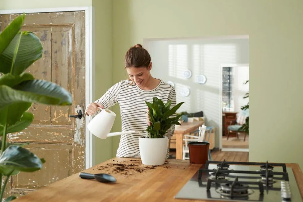 Elho Self-Watering Insert 17 - Accessoires pour Intérieur - Plastique Recyclé - Ø 17.0 x H 15.7 cm - Noir