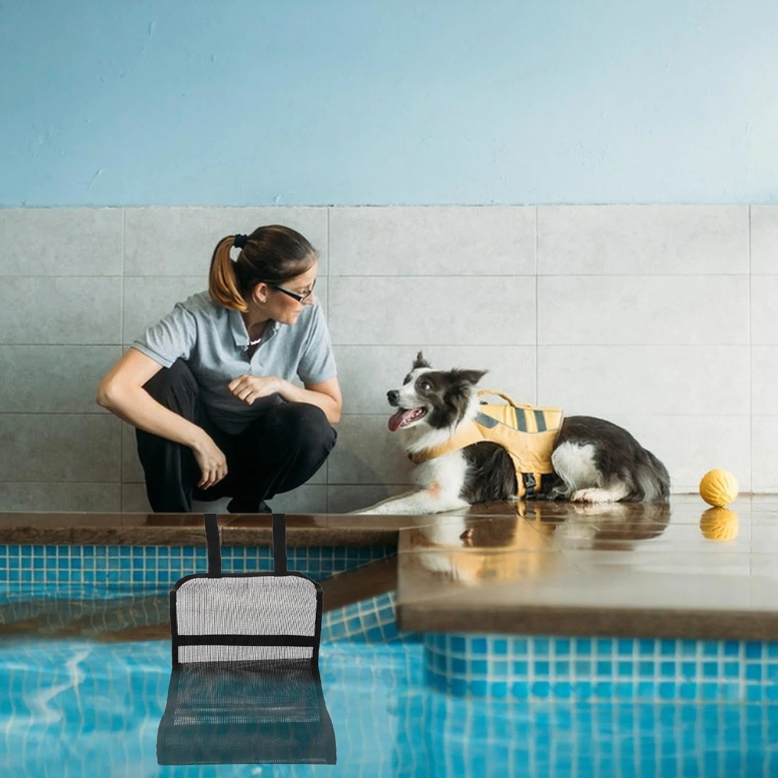 Rampe Animaux Piscine Tissu Oxford 2 Pack, Rampe De Sauvetage pour Chats Chiots