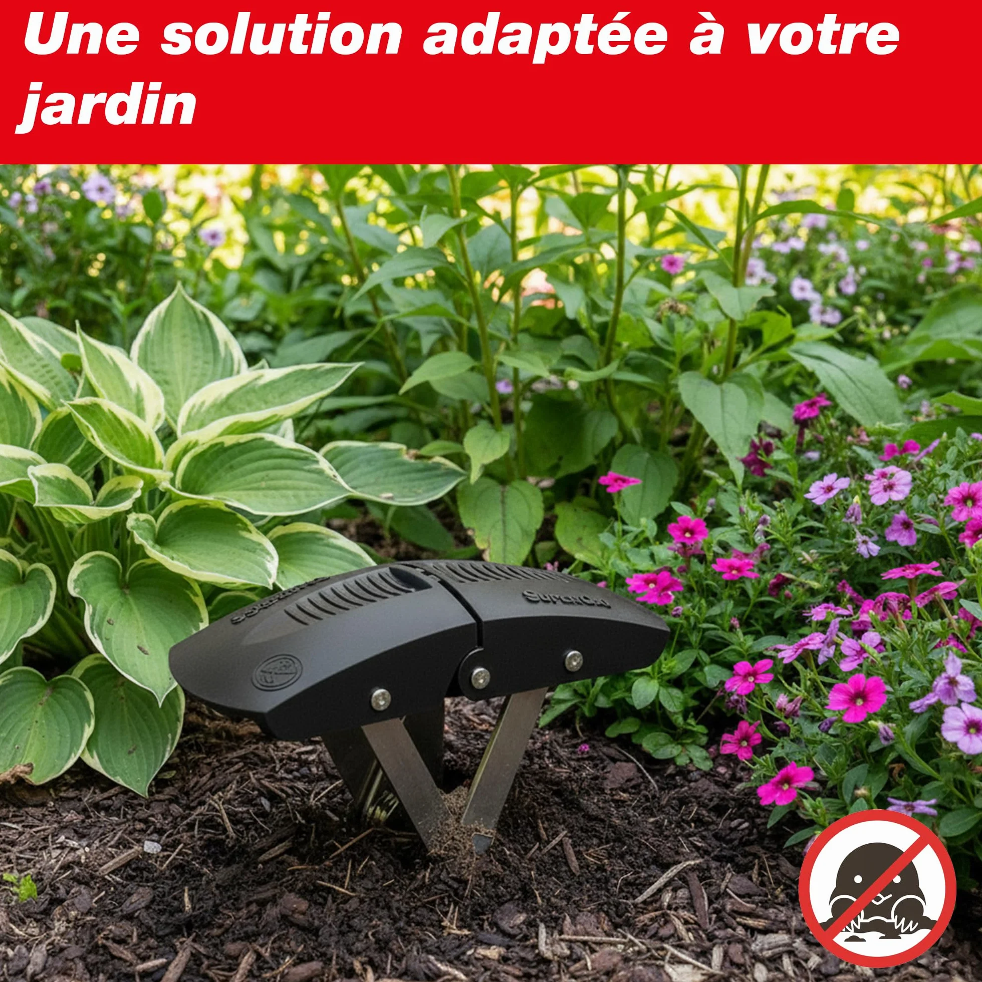 SWISSINNO SuperCat Piège à Taupe Ultra Efficace à Déclenchement Unique - 1 pièce