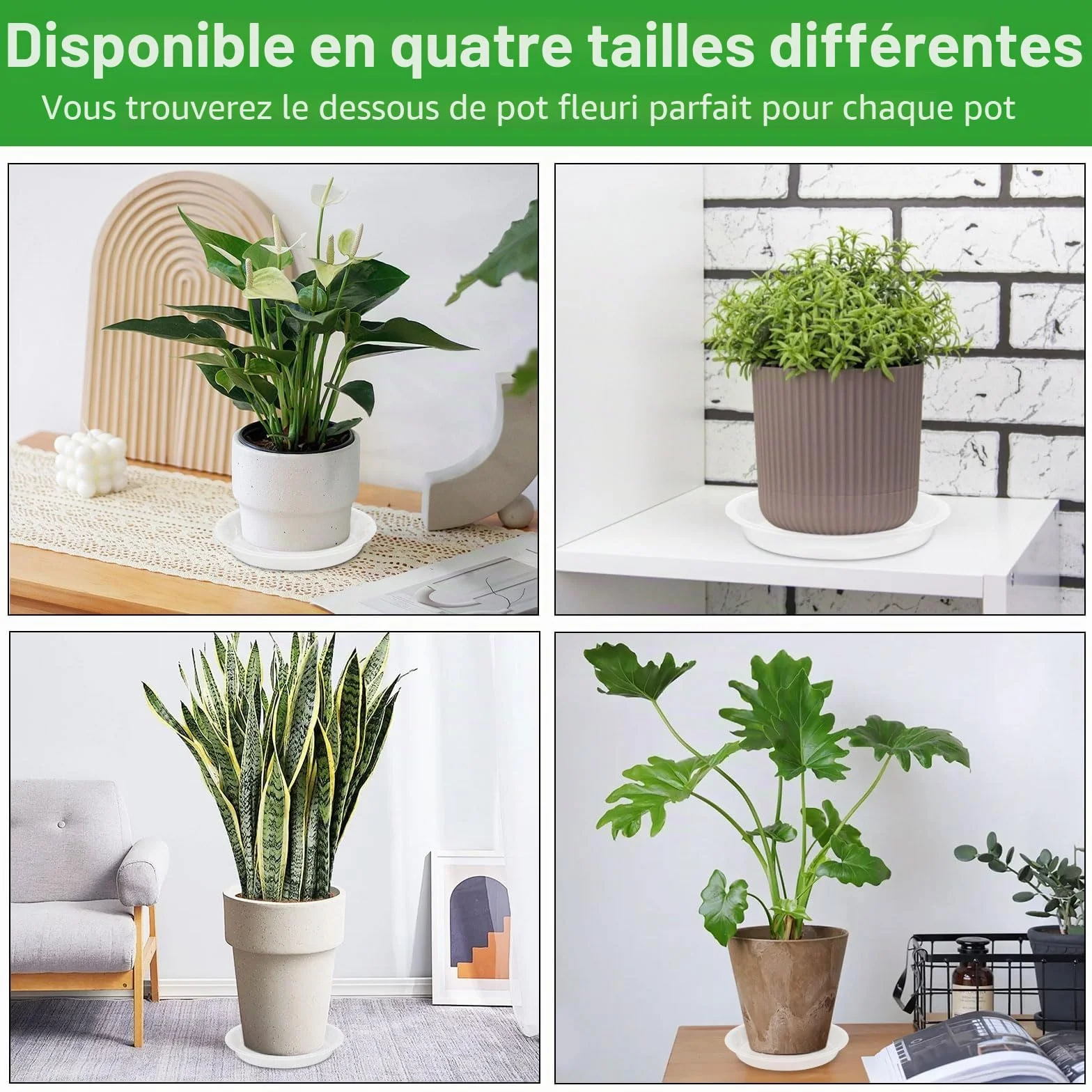 16 Pièces Coupelle Pot de Fleur Soucoupe Plastique Transparent avec Étiquettes pour Plantes Intérieur Extérieur