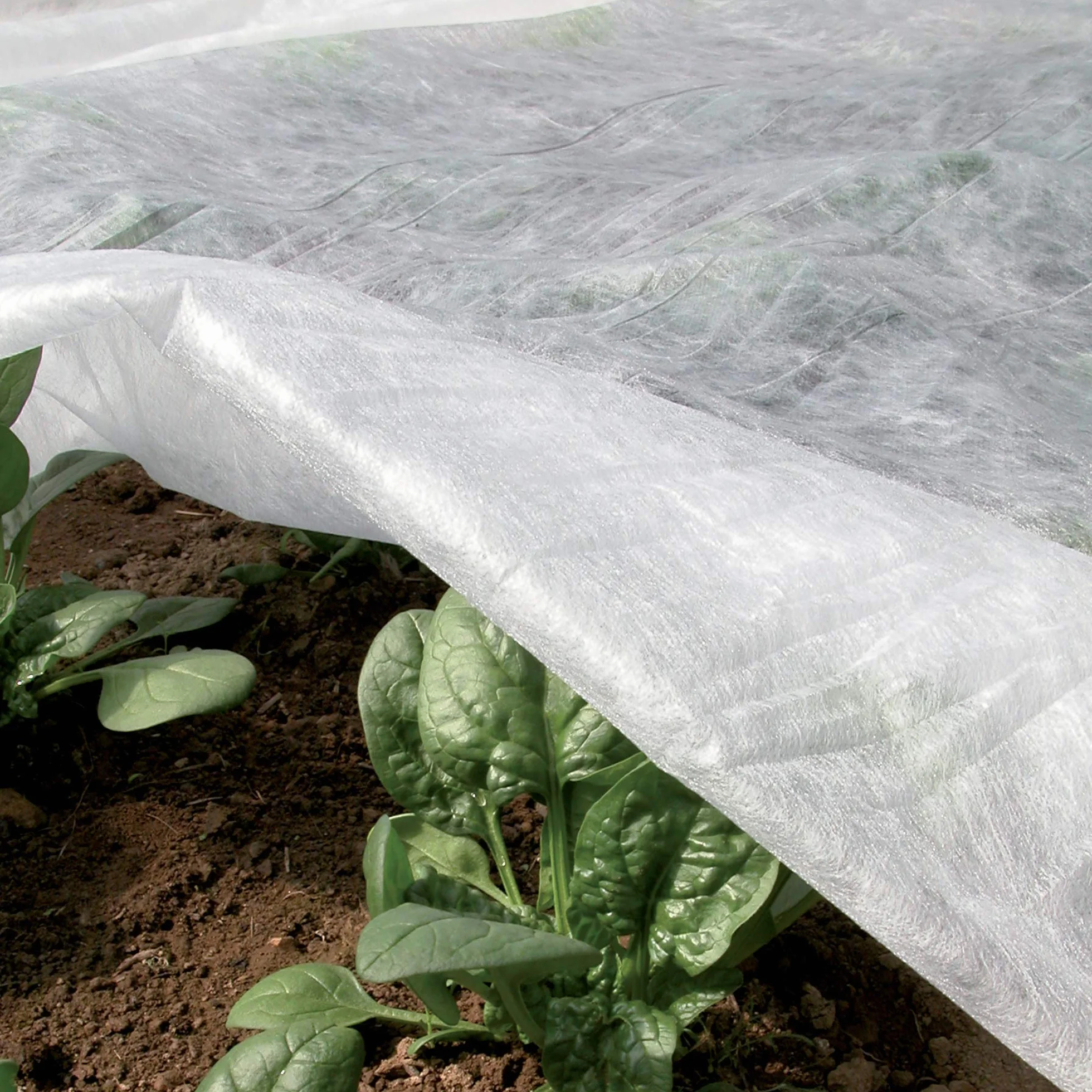 TENAX Ortoclima Plus Voile d'Hivernage 2,40x10 m Blanc 30 g/m² Tissu Non Tissé