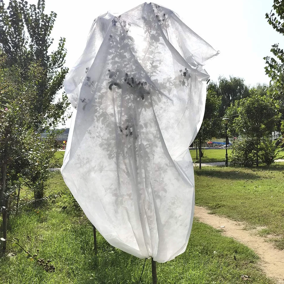 Biotop Lot de 2 Housses de Protection Anti-Gelées pour Arbres 1,5 m Diamètre 1,8 m Hauteur Tissu 17 g/m2