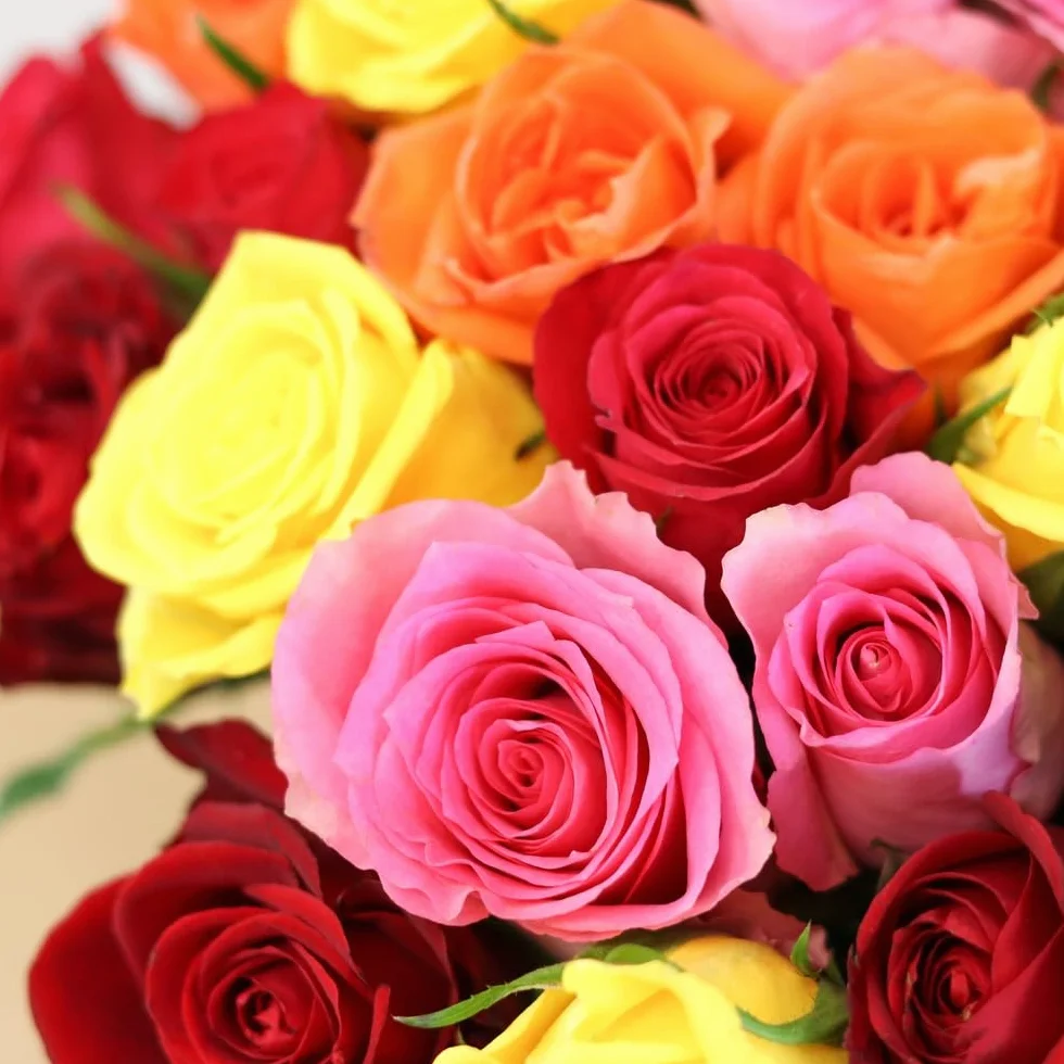 Bouquet de Roses Multicolores Max Havelaar Commerce Équitable 40 Tiges