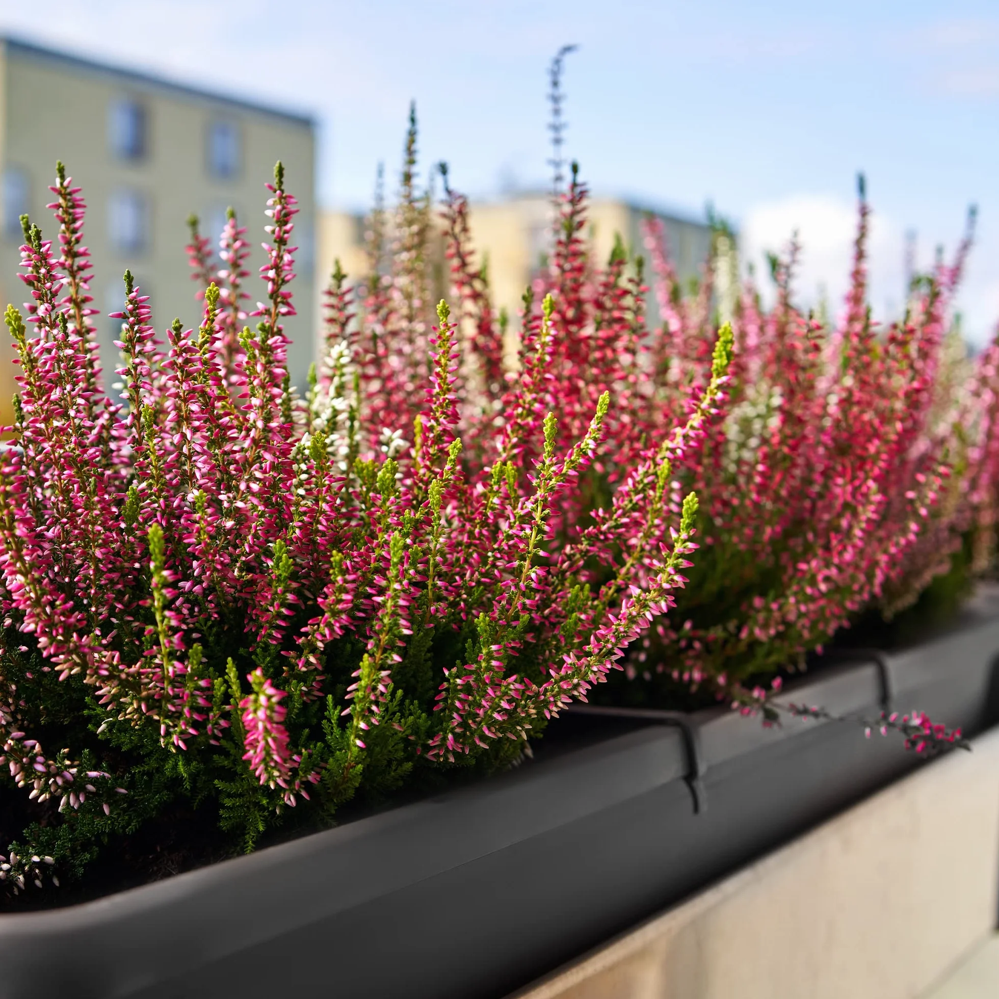 KADAX Jardinière 40 cm anthracite - Pot de fleurs pour balcon terrasse extérieur