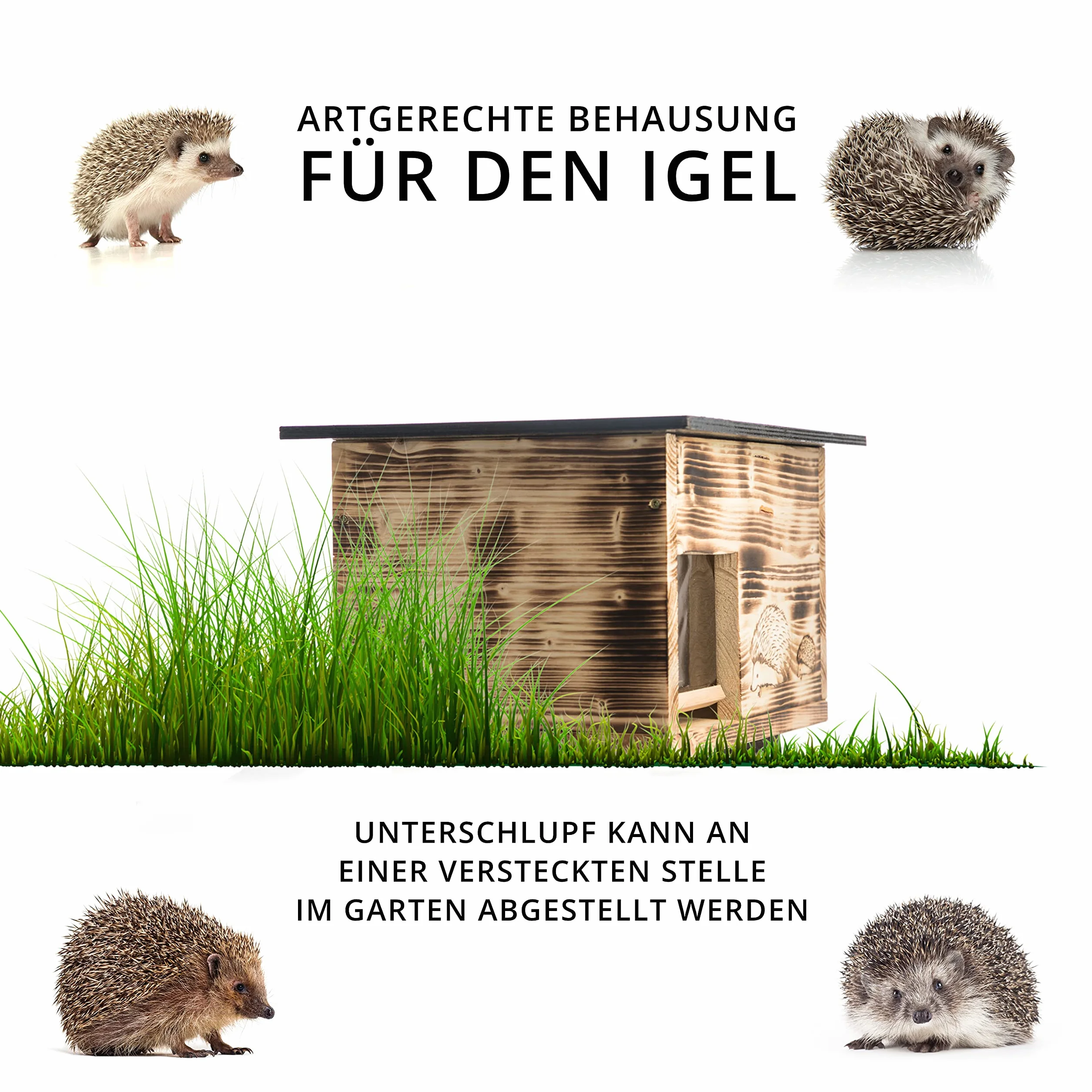 Maison pour hérisson Labyrinthe avec clapet pour Rats (IG3) Fond et Toit Amovible