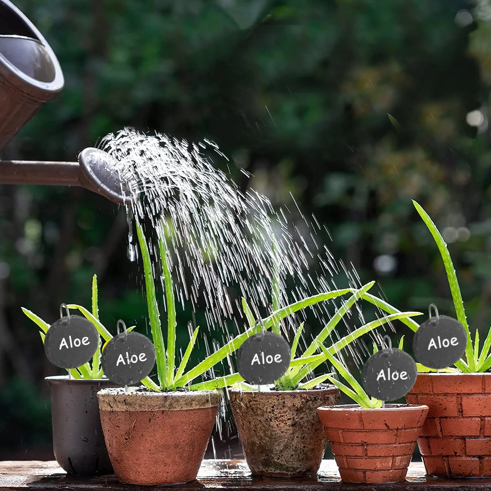 Étiquettes en Ardoise Jardin 10x8 cm avec Tiges Acier Inoxydable Réutilisables pour Plantes Potager Exterieur