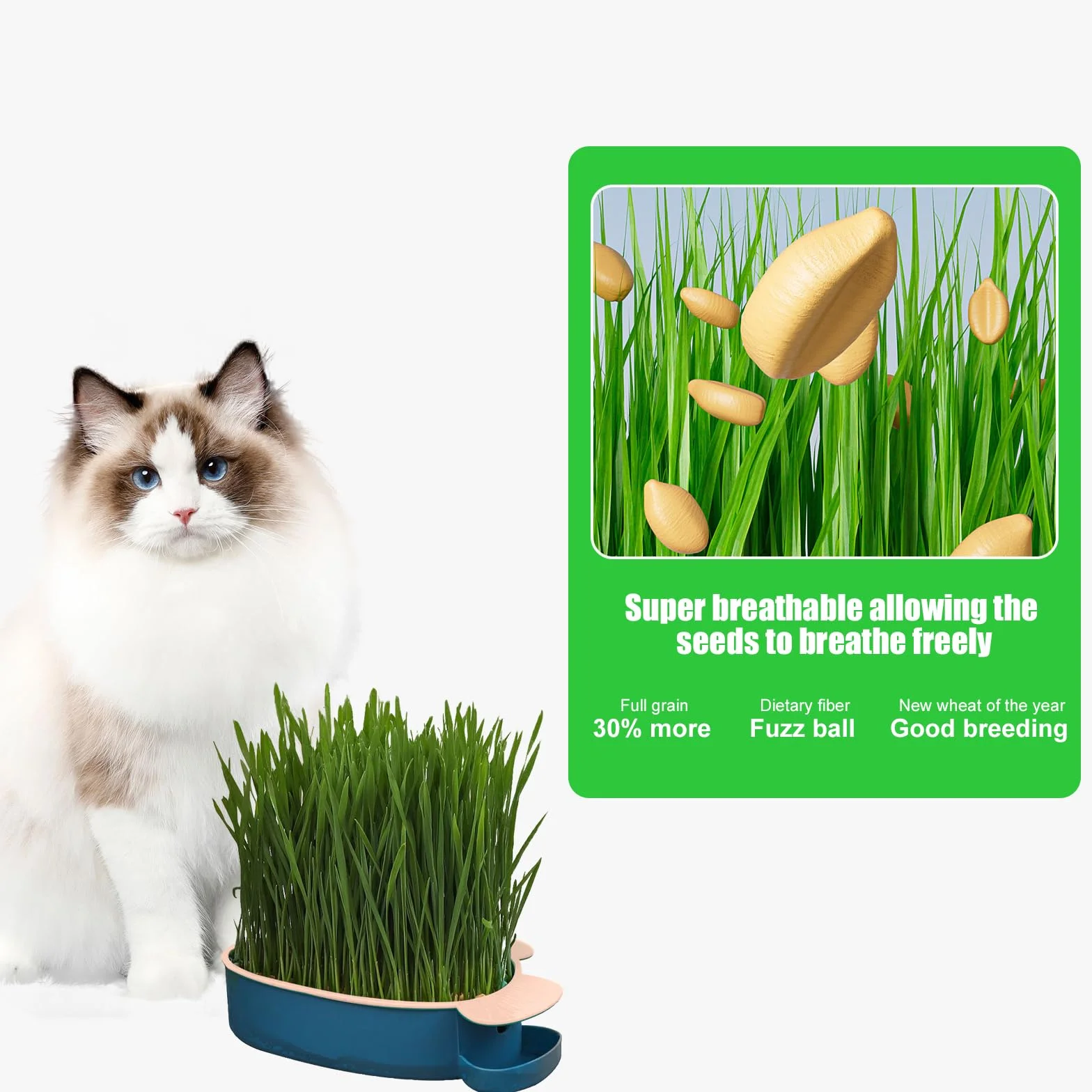 Plateau de Croissance en Forme de Poisson pour Chat HOMURY - 2 Pièces Plastique, Boîte Hydroponique avec 10 Sacs de Graines