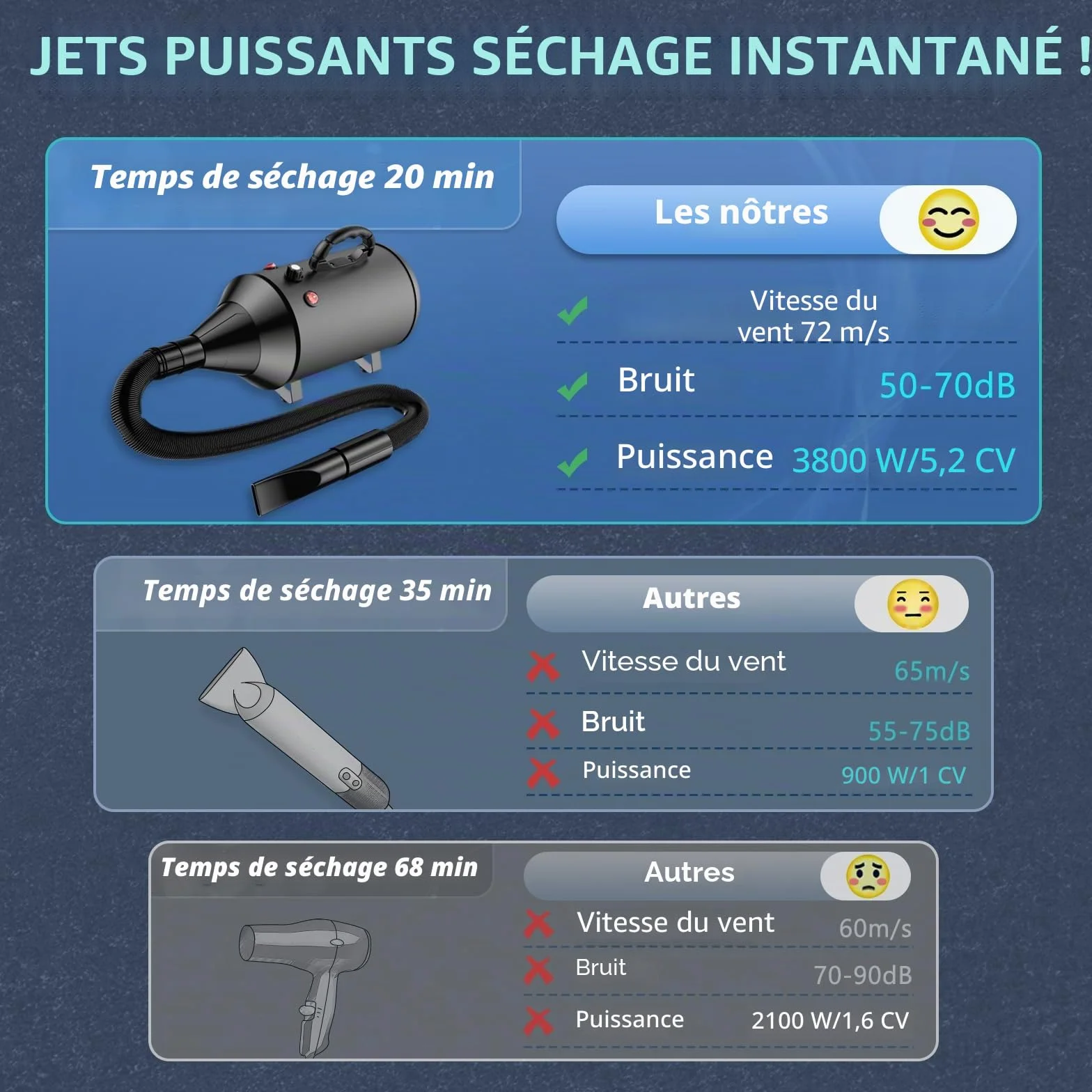 Sèche-Cheveux pour Chien Blower 5,2 CV 3800 W Moteur réglable avec 4 Buses