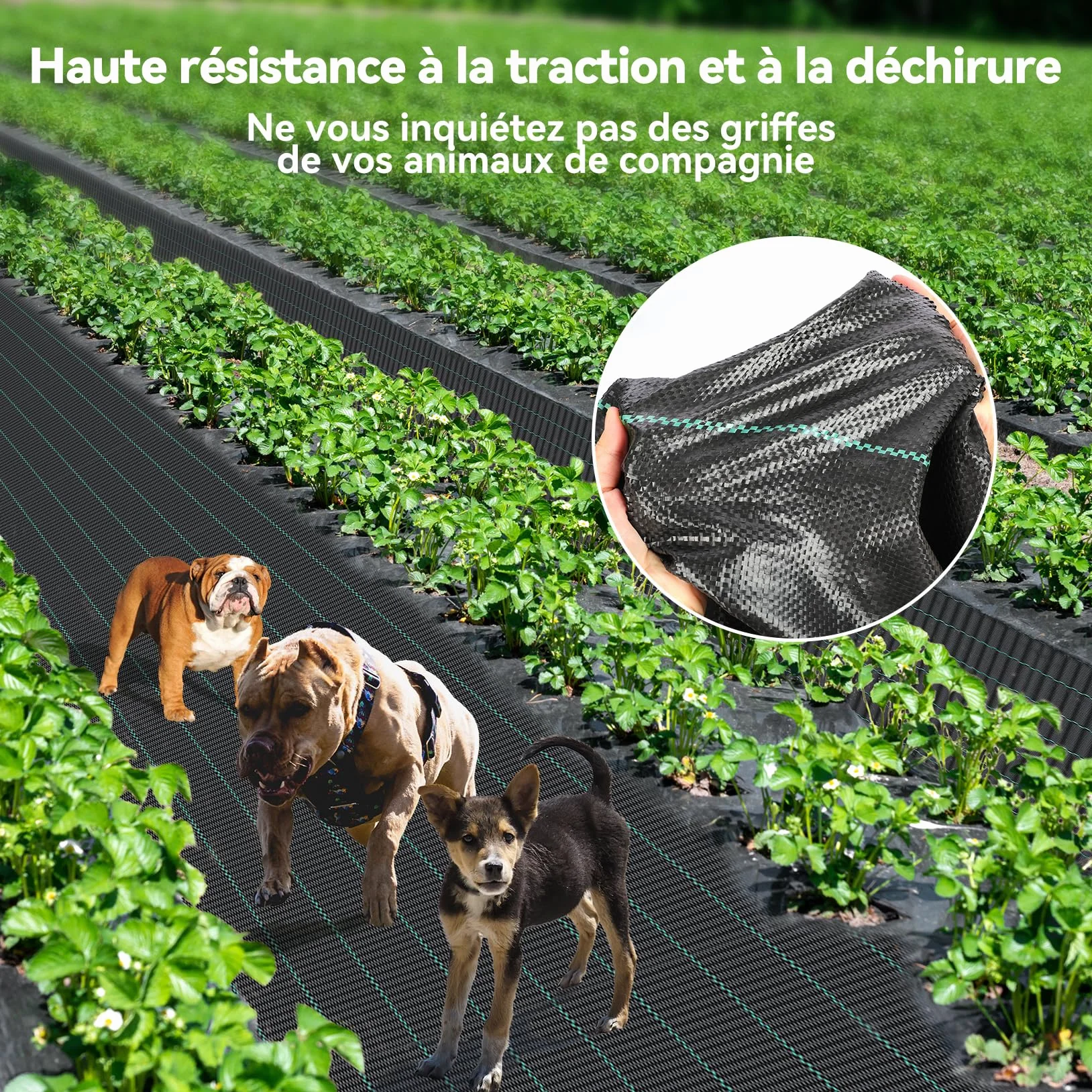 Iropro Toiles de Paillage 2m x 25m 50㎡ Geotextile Anti Mauvaises Herbes Perméable à l'eau Résiste UV Noir