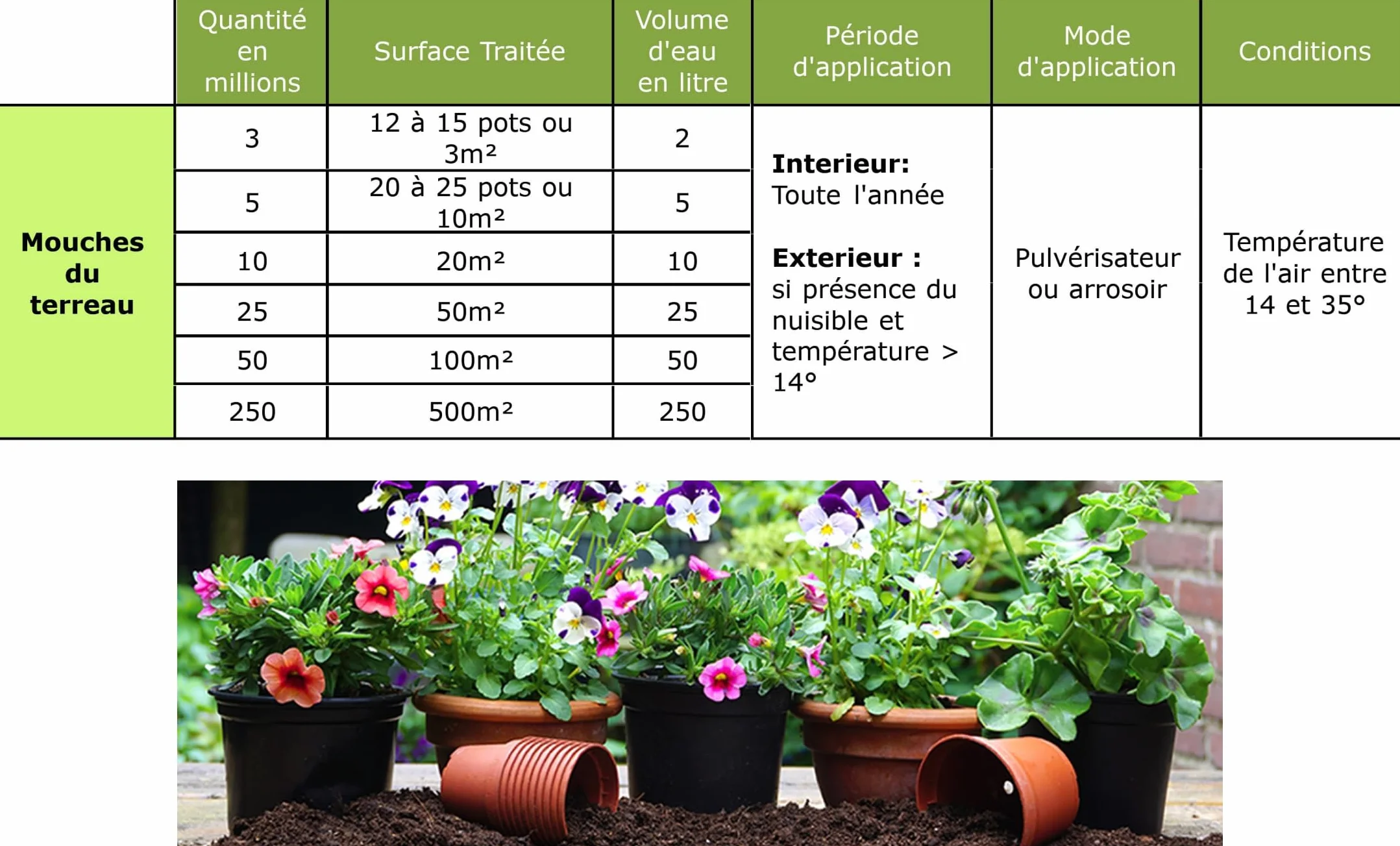 SOLUNEMA Nématodes SF contre mouches du terreau 5 millions - Traitement biologique plantes d’intérieur jusqu’à 25 pots