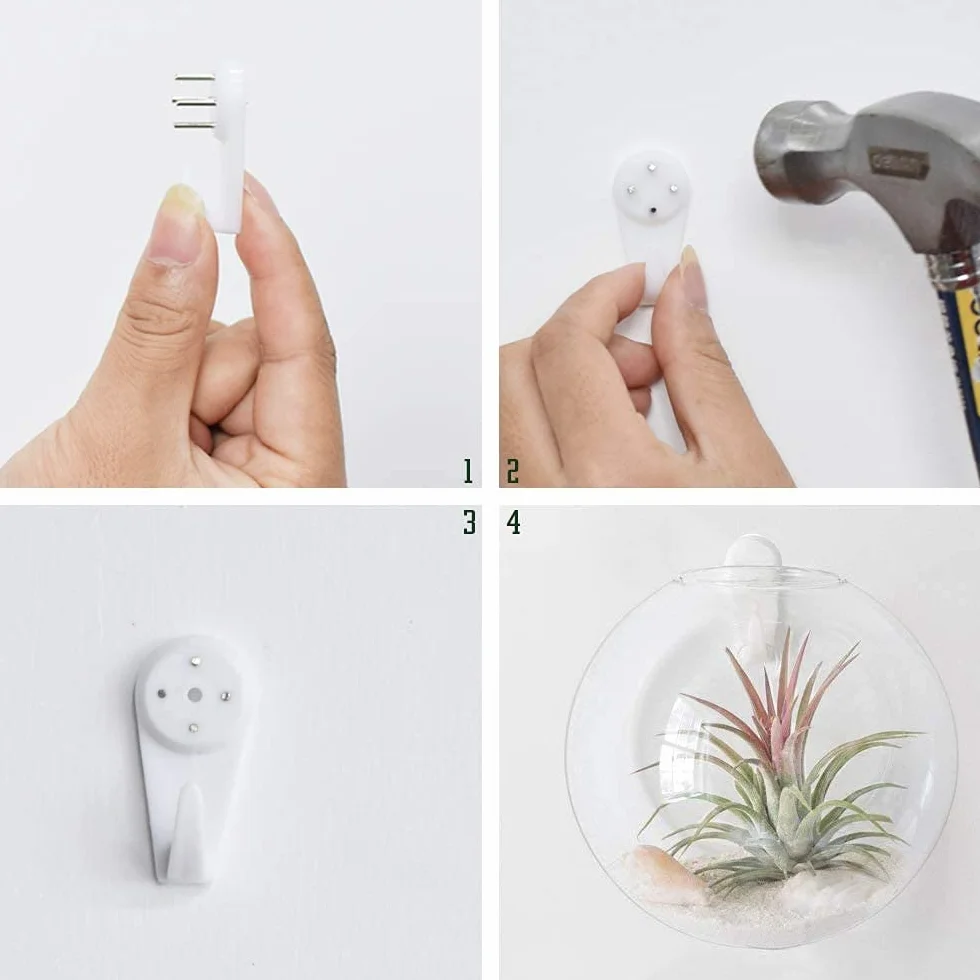 Lot de 4 Pots de Fleurs Muraux en Verre Transparent pour Plantes Aériennes, Tillandsia - Décoration Murale