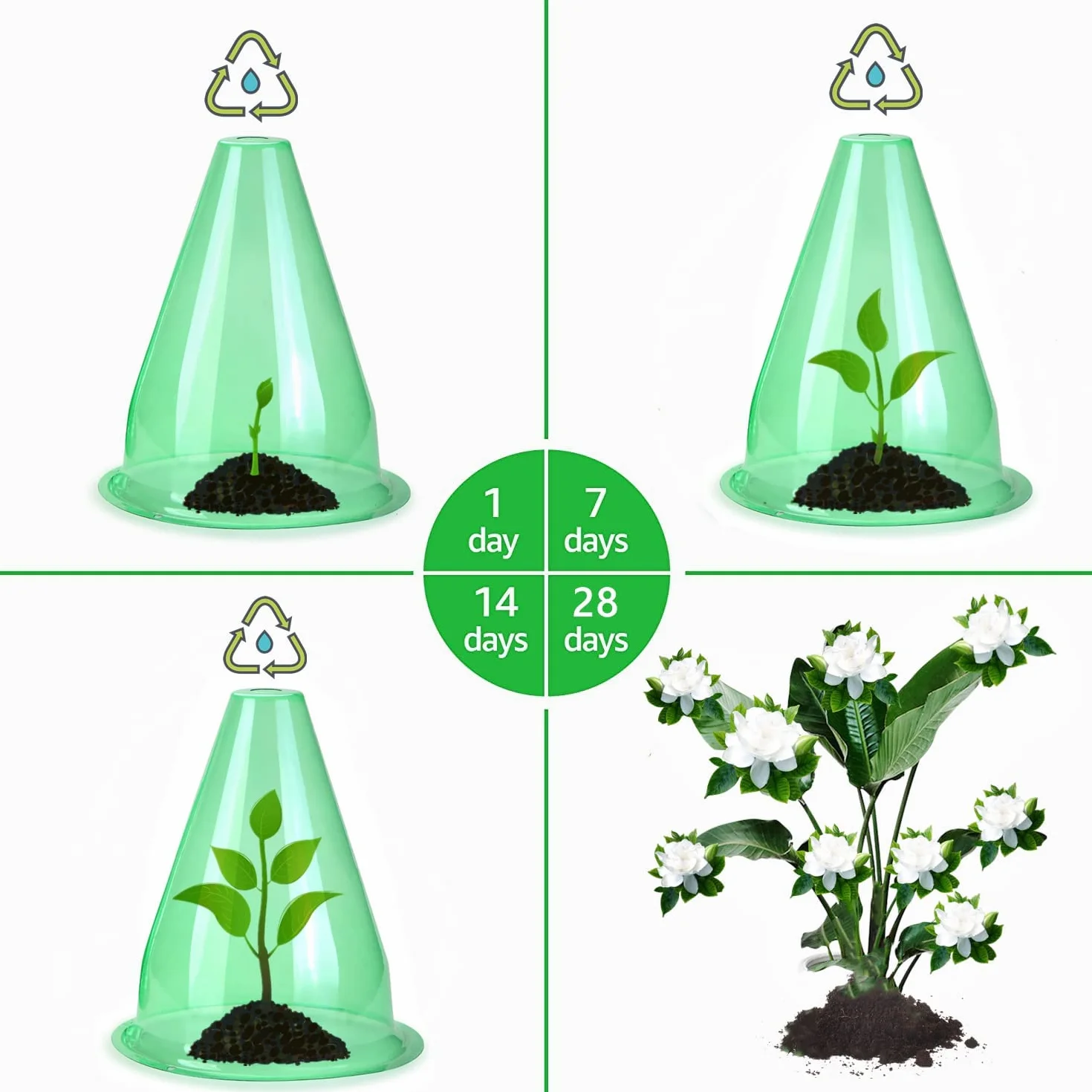 Garden Cloches for Plants 12 Pieces 7.8" D x 9.4" H Green Plant Protectors