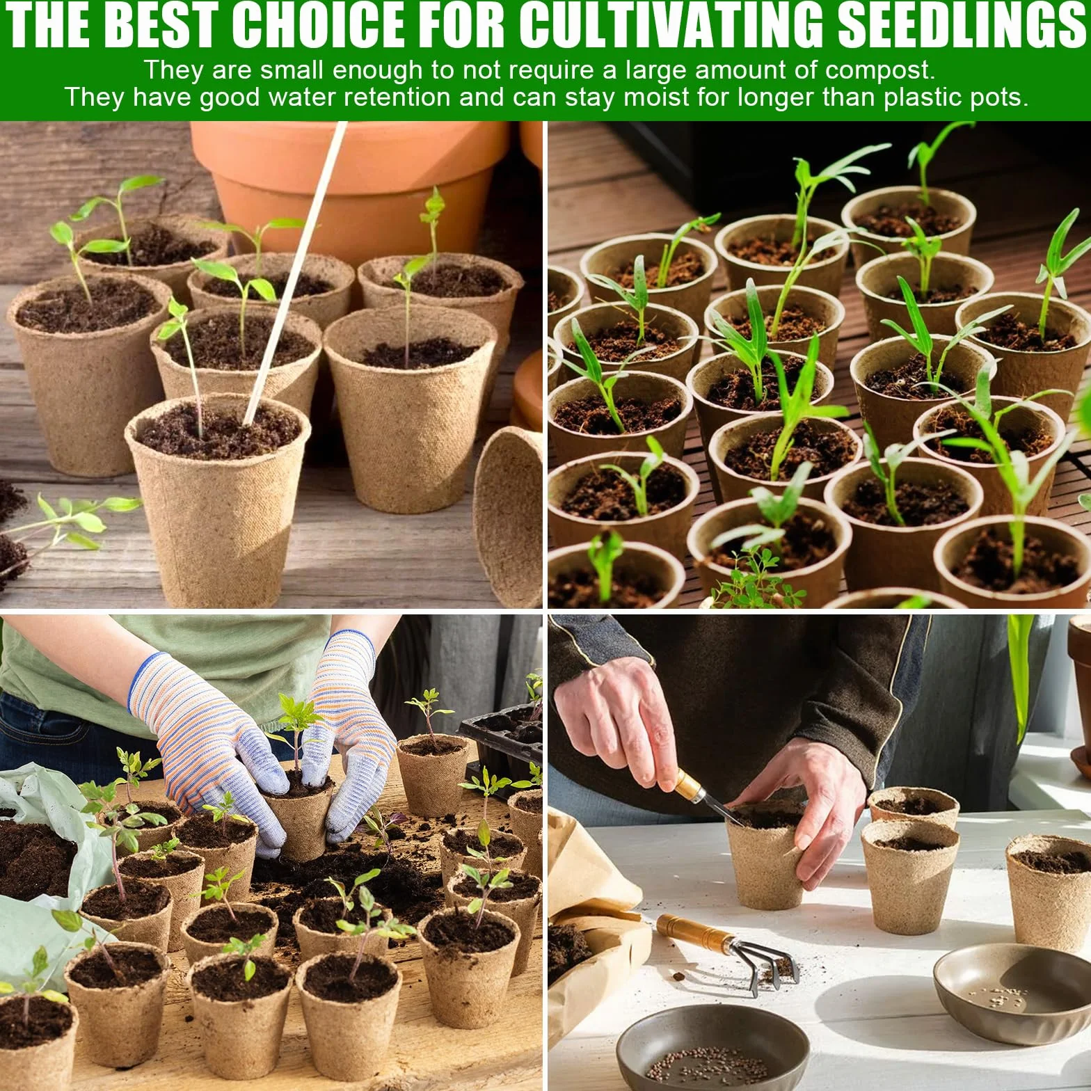 Godets pour Semis 8cm, 50 Pièces Kit de Pots de Semis en Fibre Biodégradable avec Étiquettes et Outils