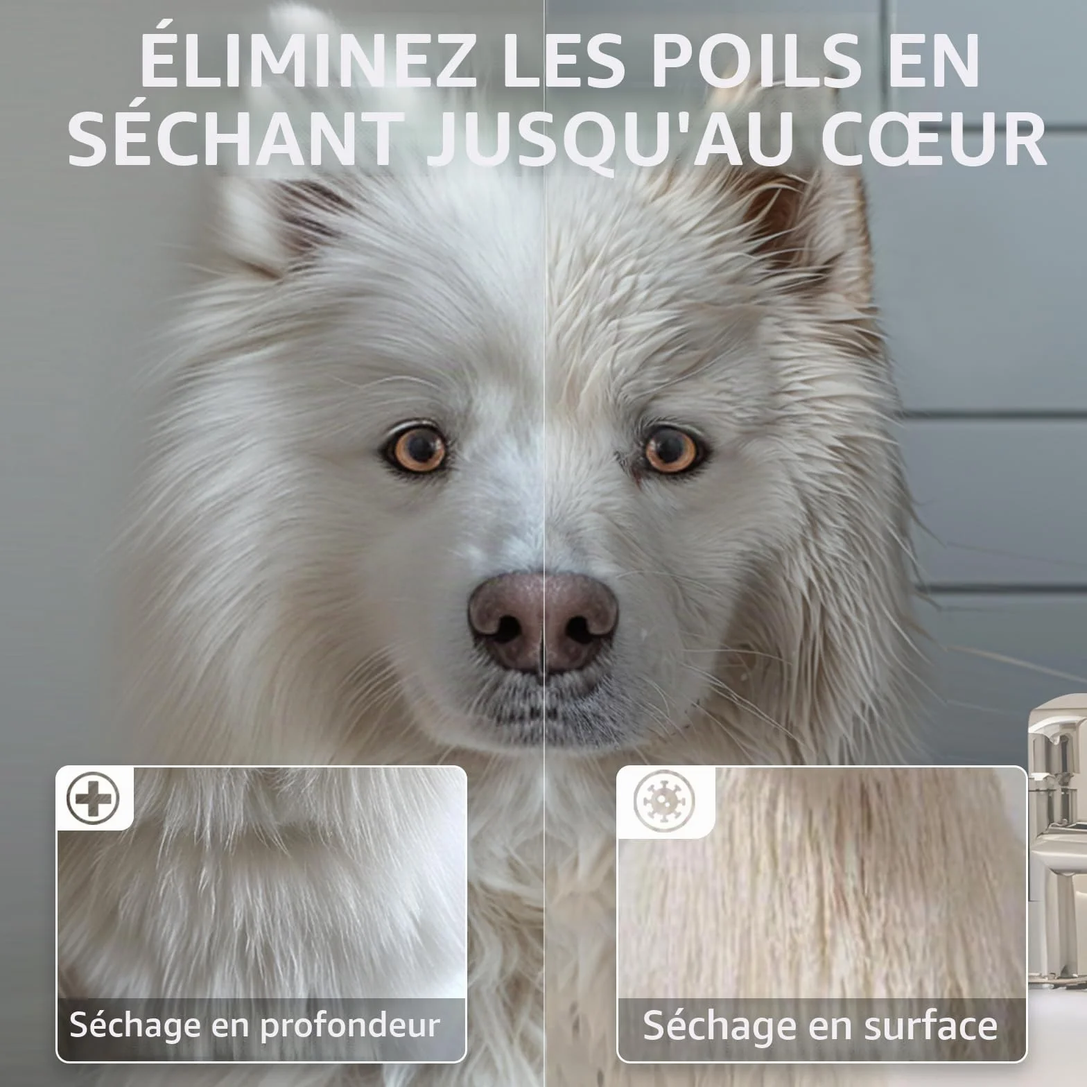 Sèche-Cheveux pour Chien Blower 5,2 CV 3800 W Moteur réglable avec 4 Buses
