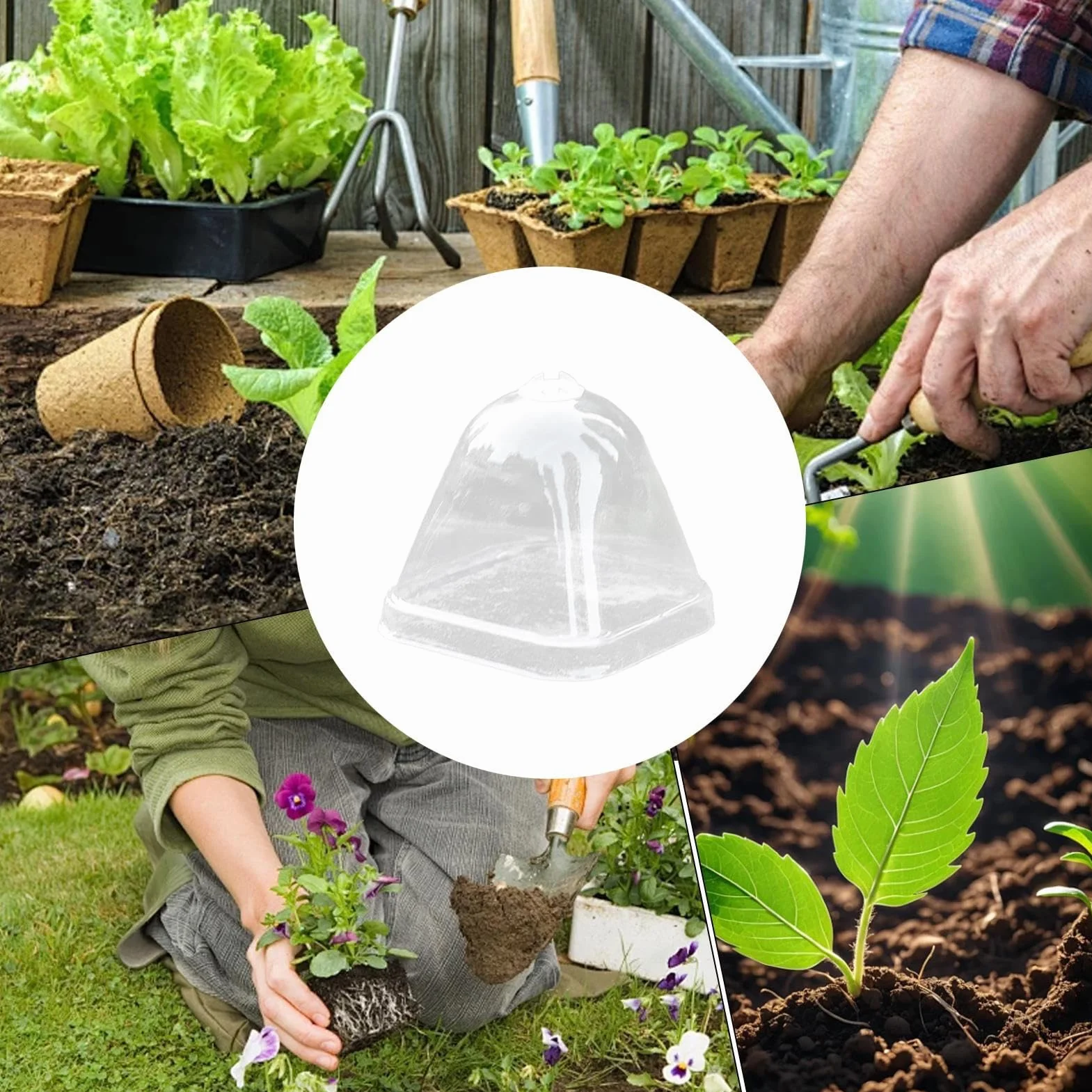 Cloche Végétale Transparente 10x Couvercle d'Isolation Thermique Mini Serre de Protection