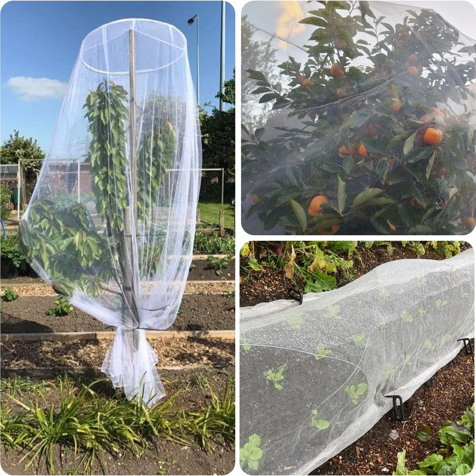 KINGLAKE Filet Anti Insecte 35 g/m² 2m x 10m Maille Fine Protection Cerisier Fraisier Jardin Potager Arbre Fruitier Blanc