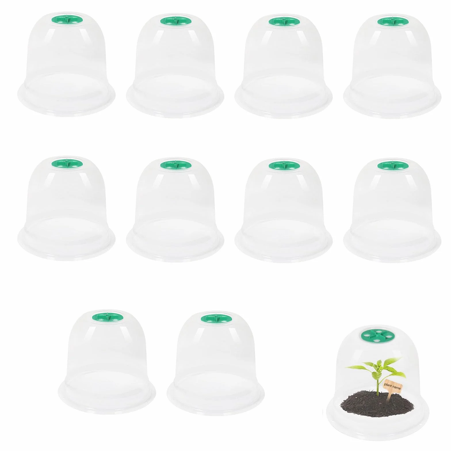 Cloche Pour Plantes De Jardin 10 Pièces Protection Pluie Et Gel Ventilation Améliorée