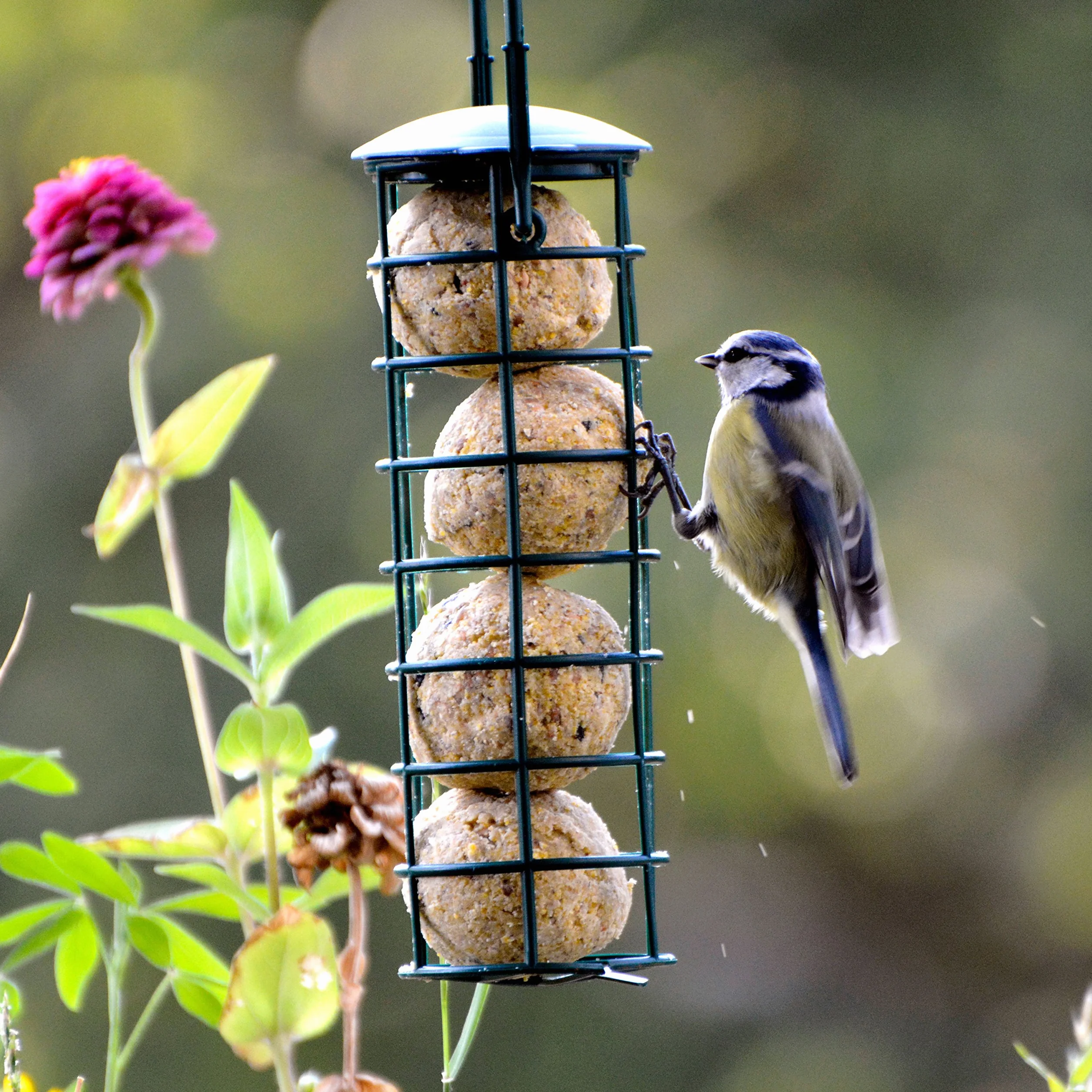 Mangeoire pour oiseaux Dobar 24081 avec quatre boules à mésanges, rechargeable, noire, plastique
