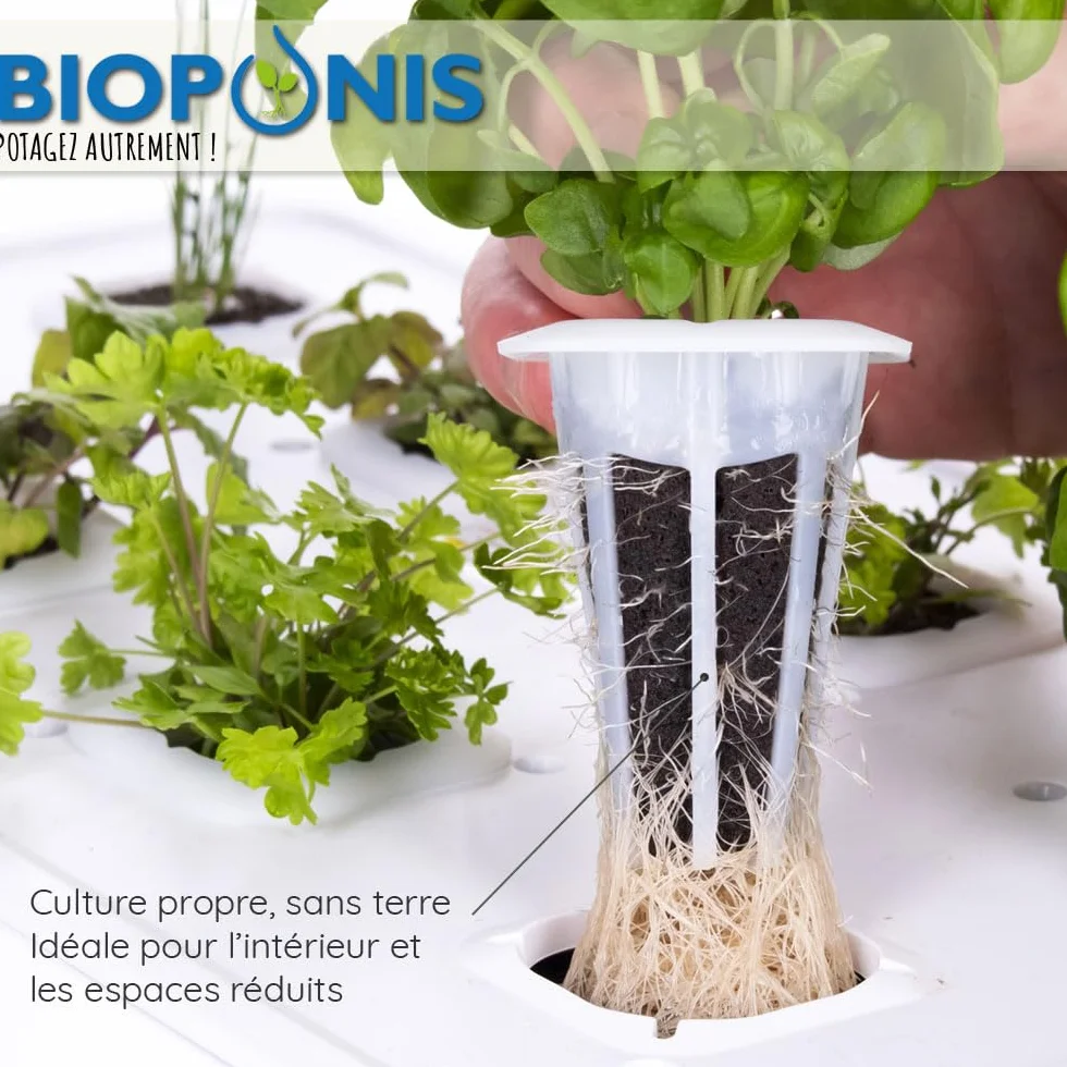 Potager d'Intérieur Hydroponique Bamboo 1 8 Emplacements pour Plantes Aromatiques