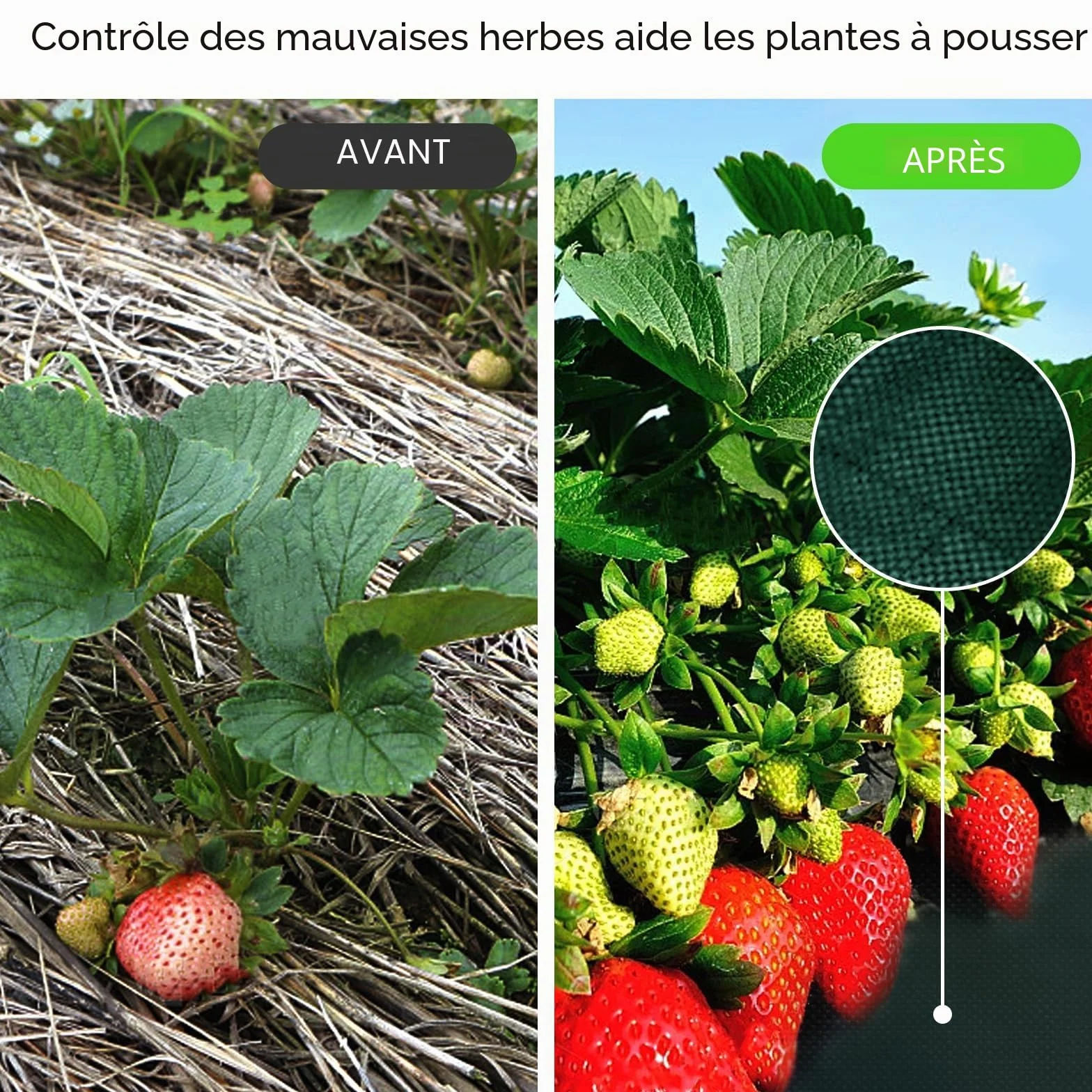Toiles de Paillage 1m x 5m avec Piquets Tissu Anti-Mauvaises Herbes Respirant pour Jardin
