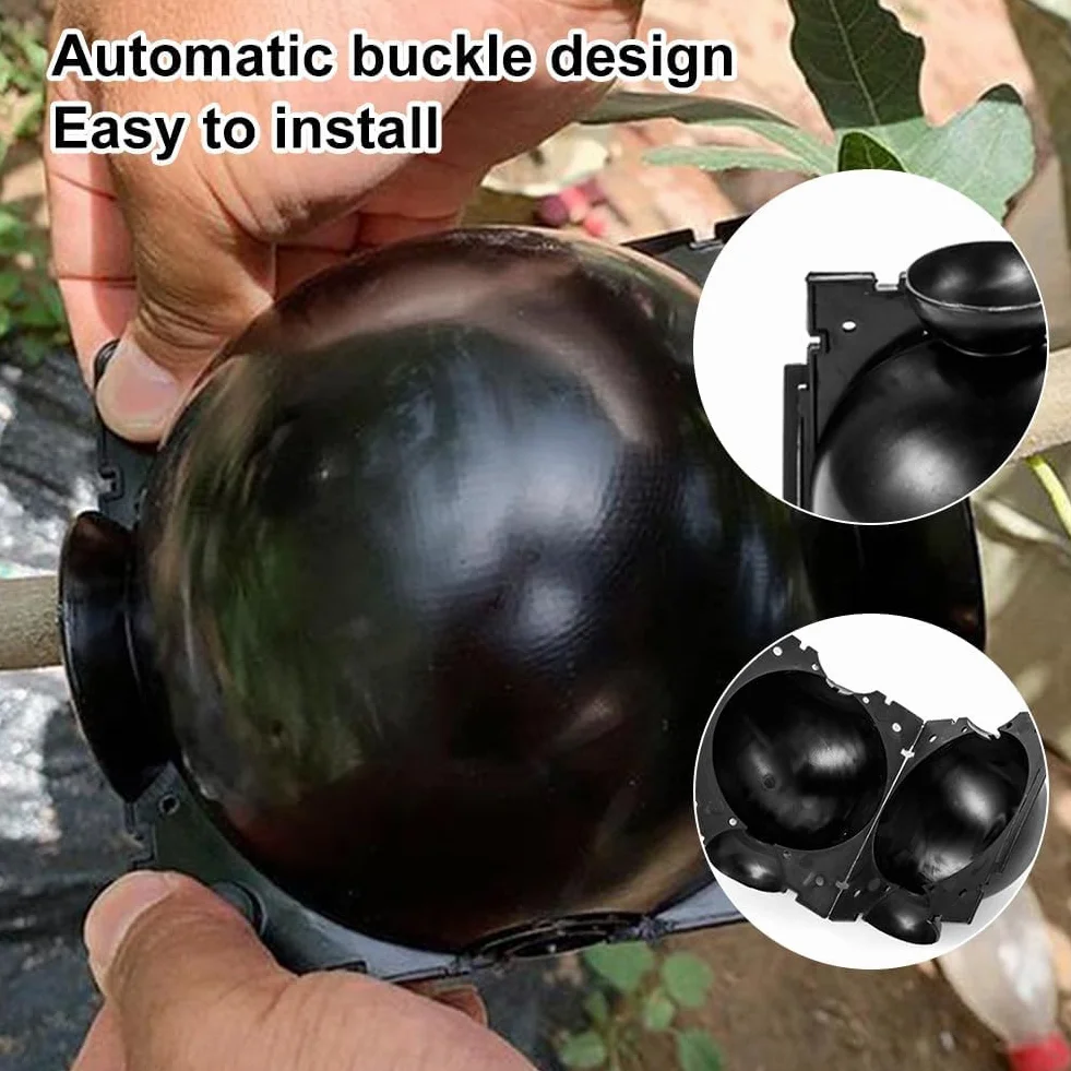 Boîte de Greffage de Plantes 6pcs, Dispositif d'Enracinement Balle de Propagation